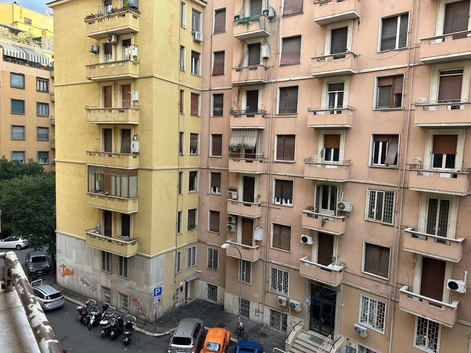 PHOTO-2026-01-30-16-31-46 6.jpg