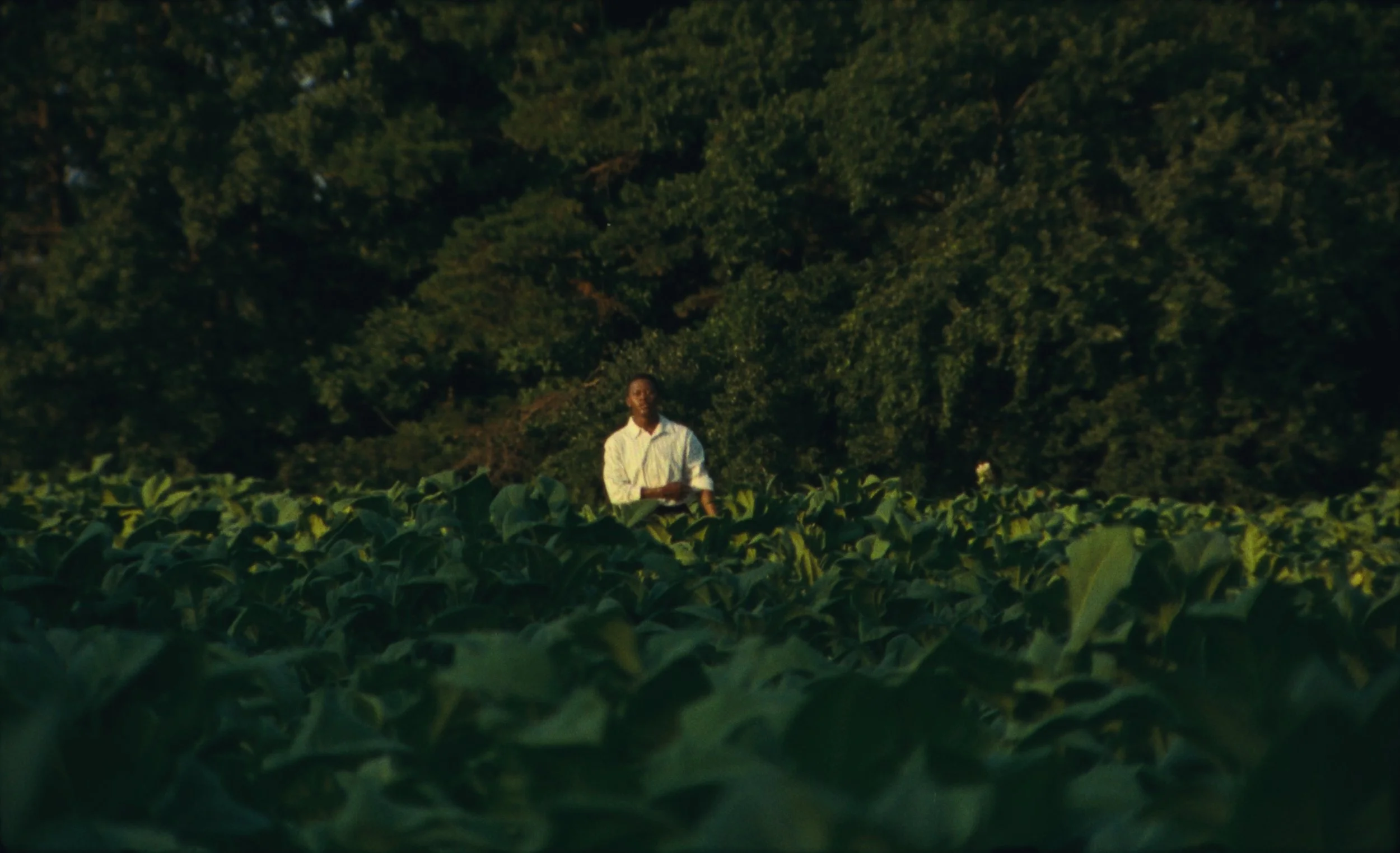 JESUS IS COMING_FILMSTILL1_CUFF.jpg