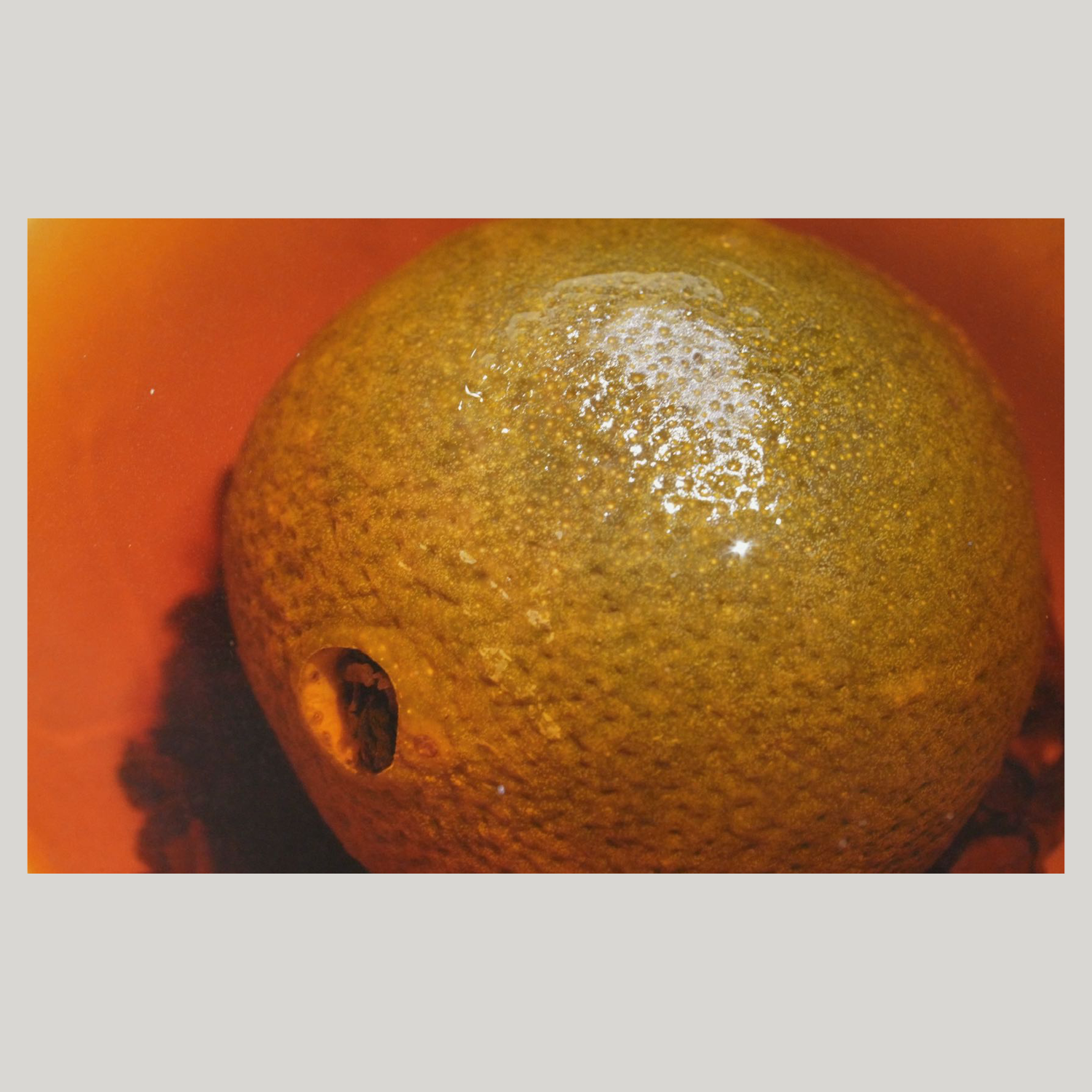 Ritual Pu-erh2.png