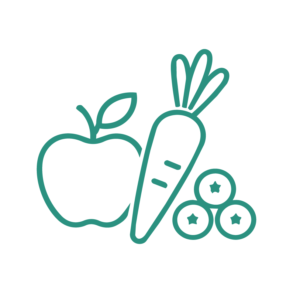 Apple, carrot and berries teal icon