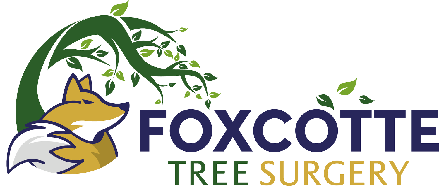 Foxcotte Tree Surgery