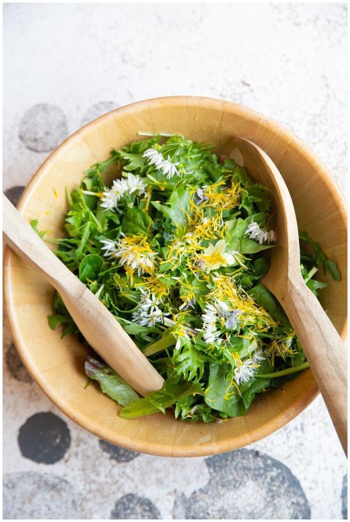 festival-catering-side-dish.jpg