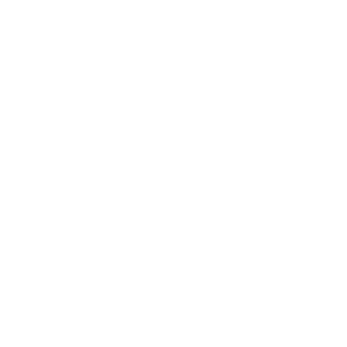 The Buena Vista Social Orchestra 