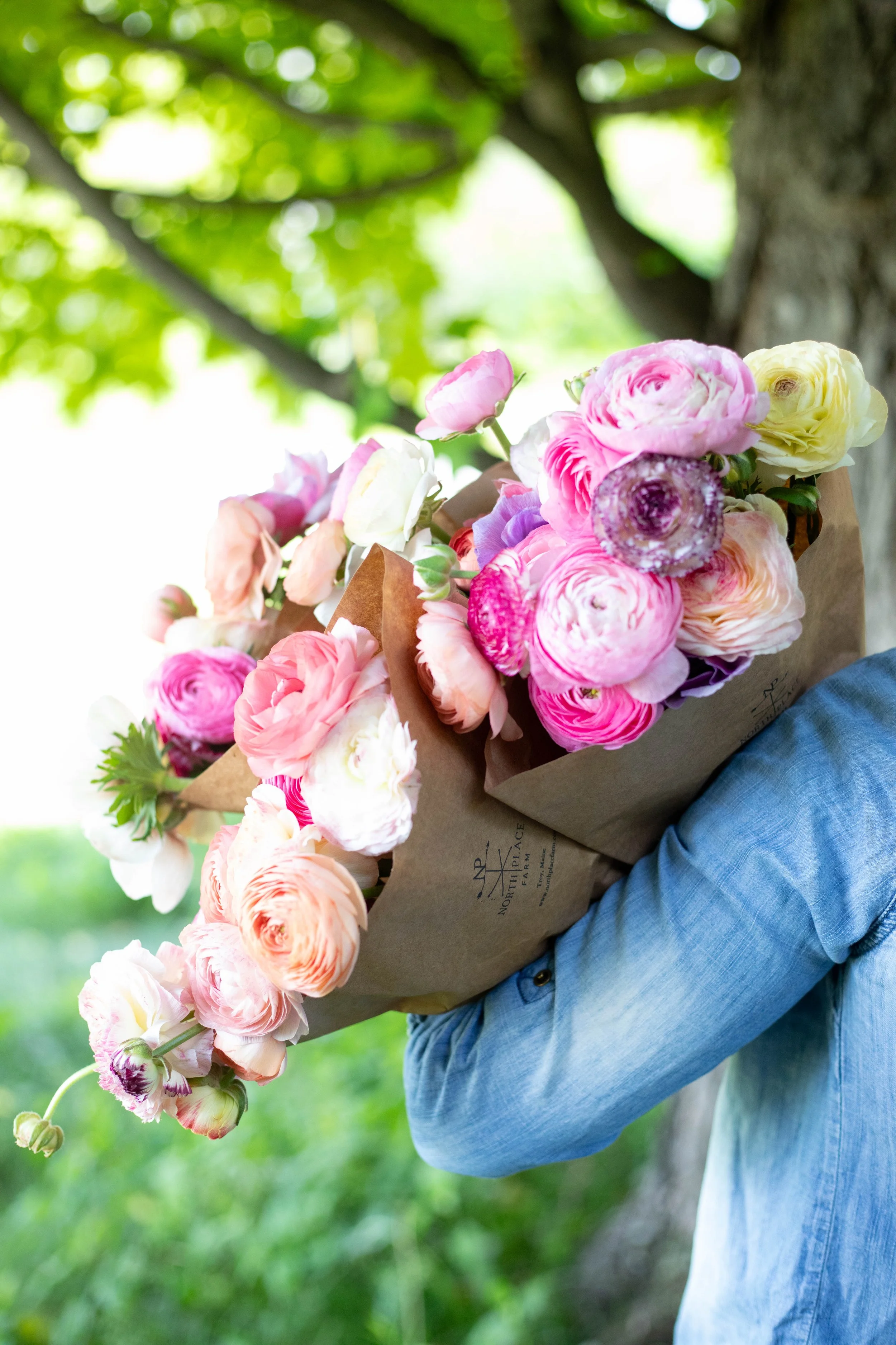 Ranunculus CSA bunch.jpg