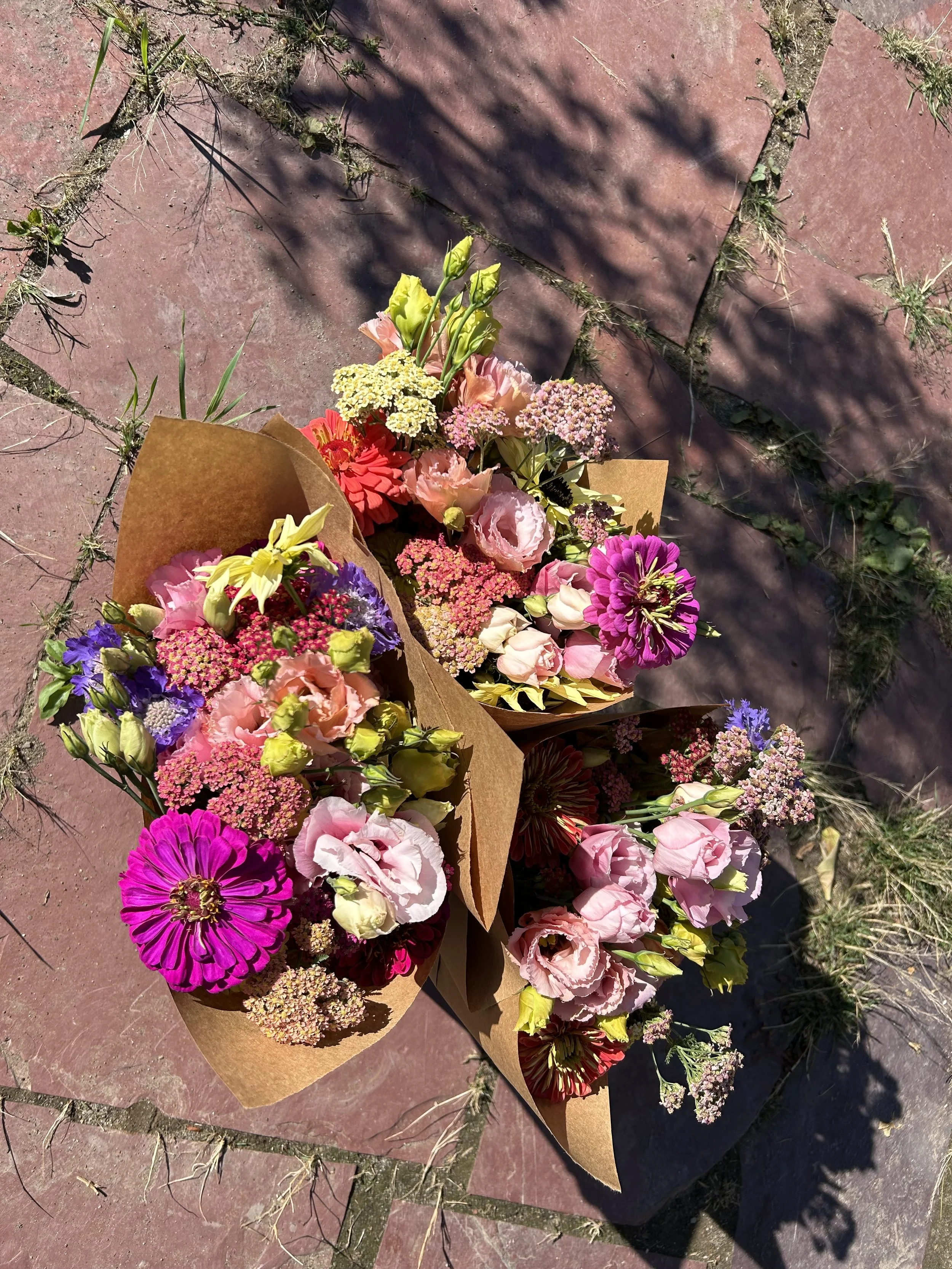 flower farm csa 4.jpg