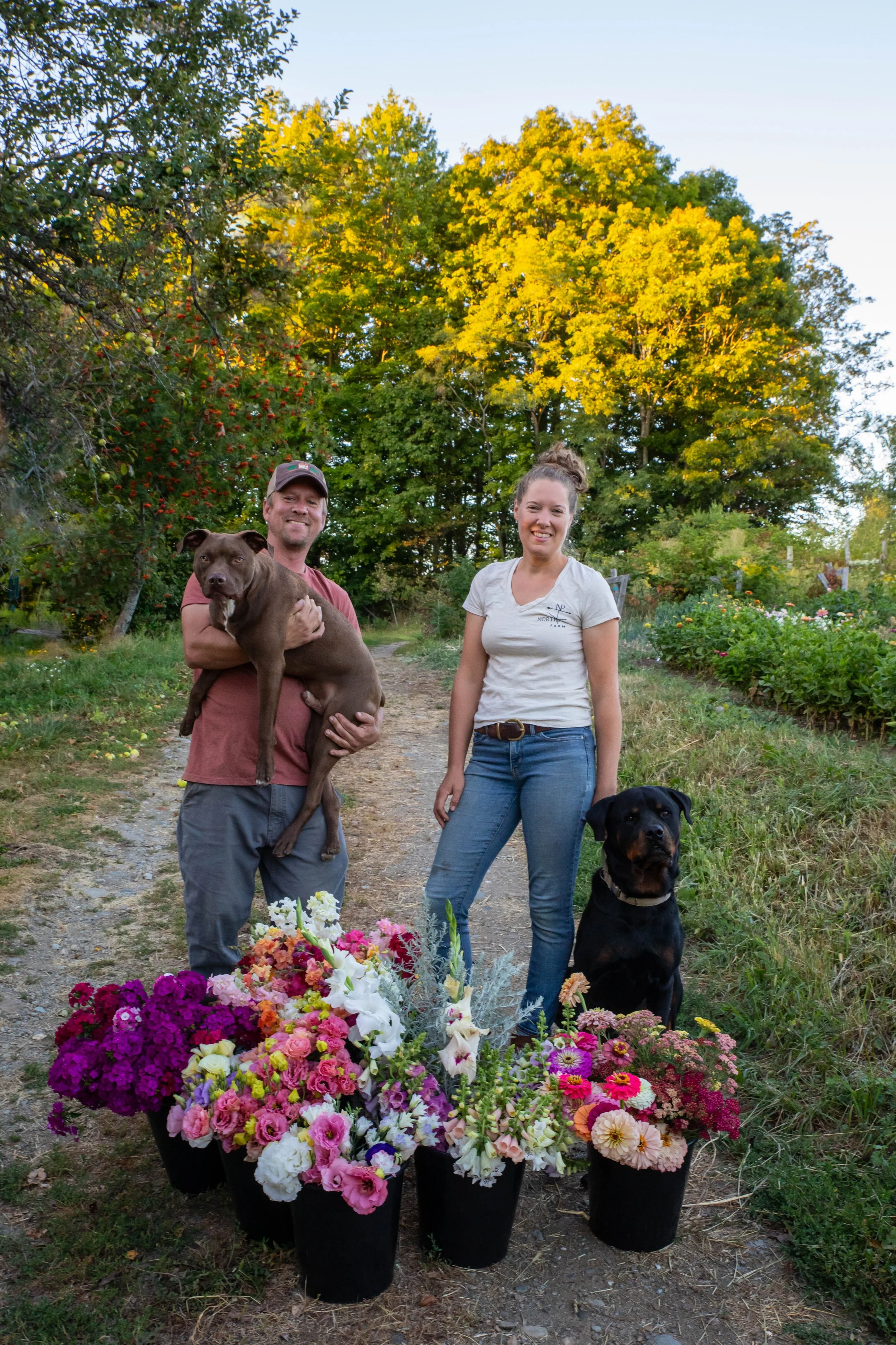 dogs and flowers.jpg