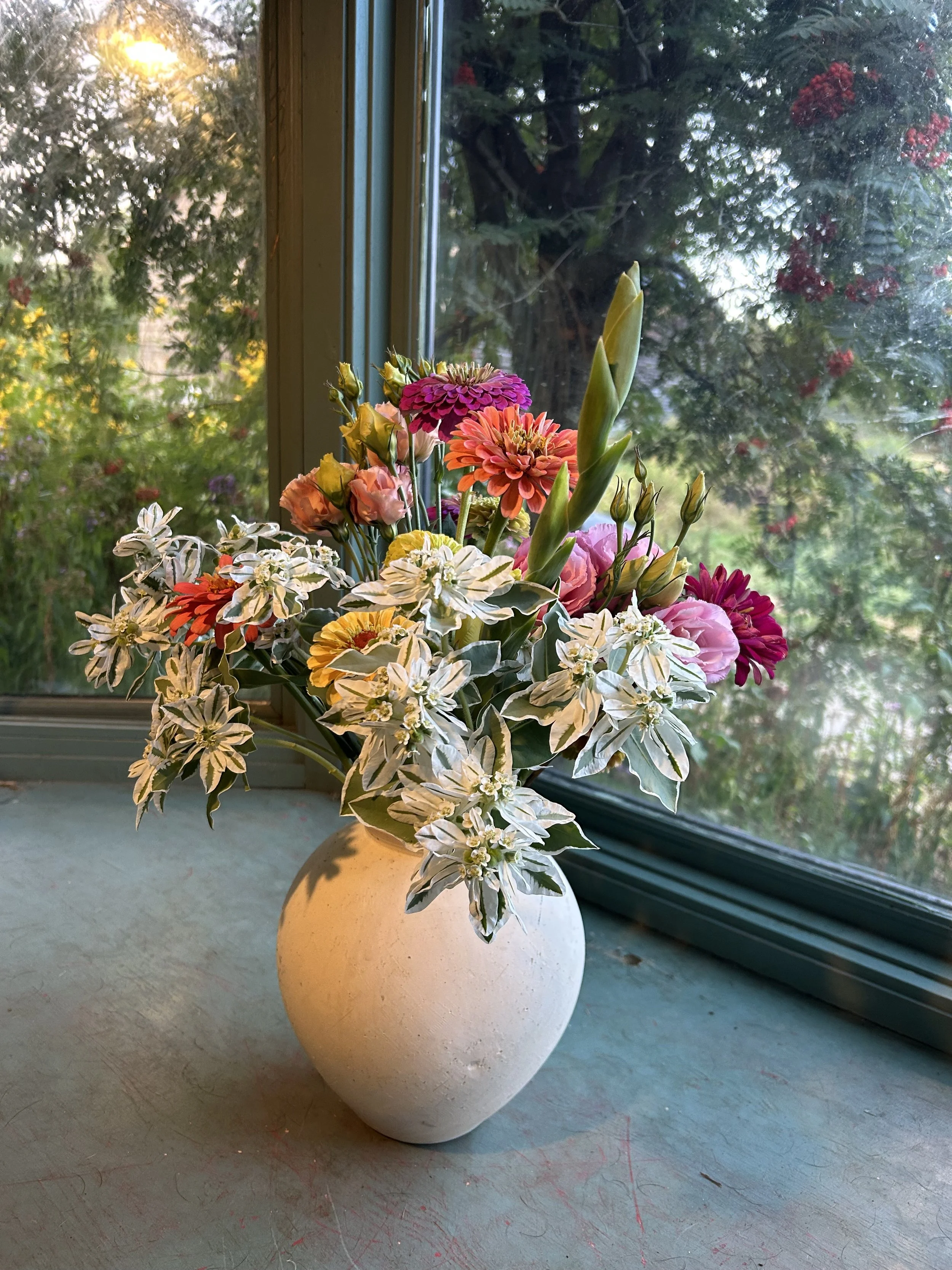 flower CSA business euphorbia.jpg