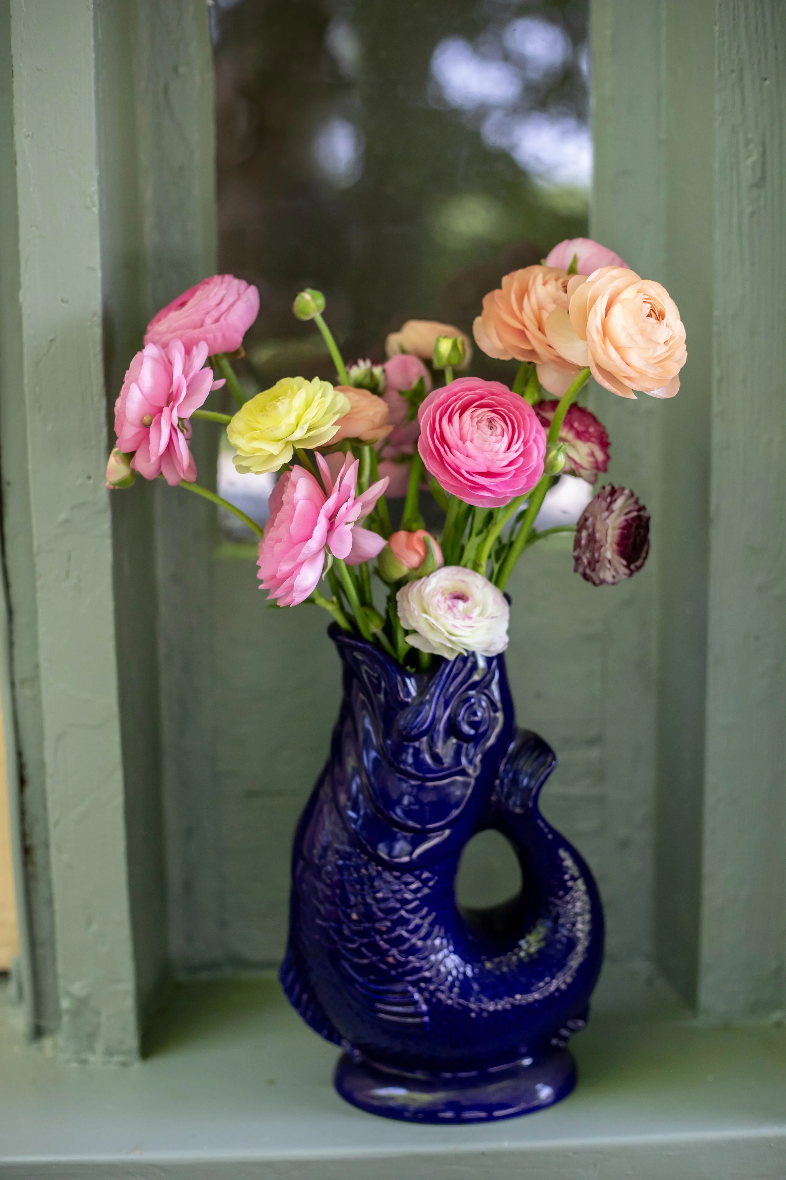 rannunculus fush vase maine flower farm.jpg