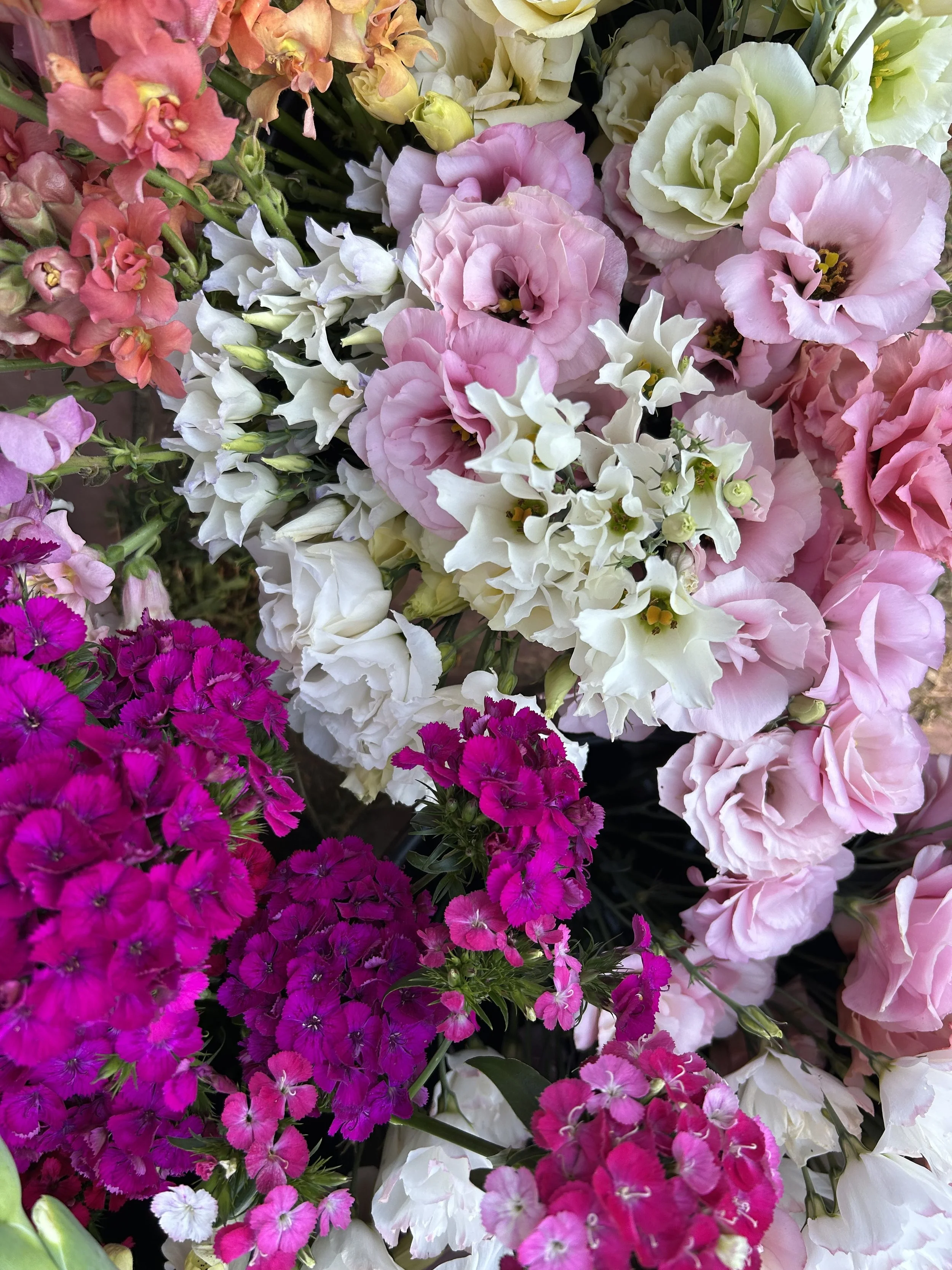 flower farm abundance.jpg
