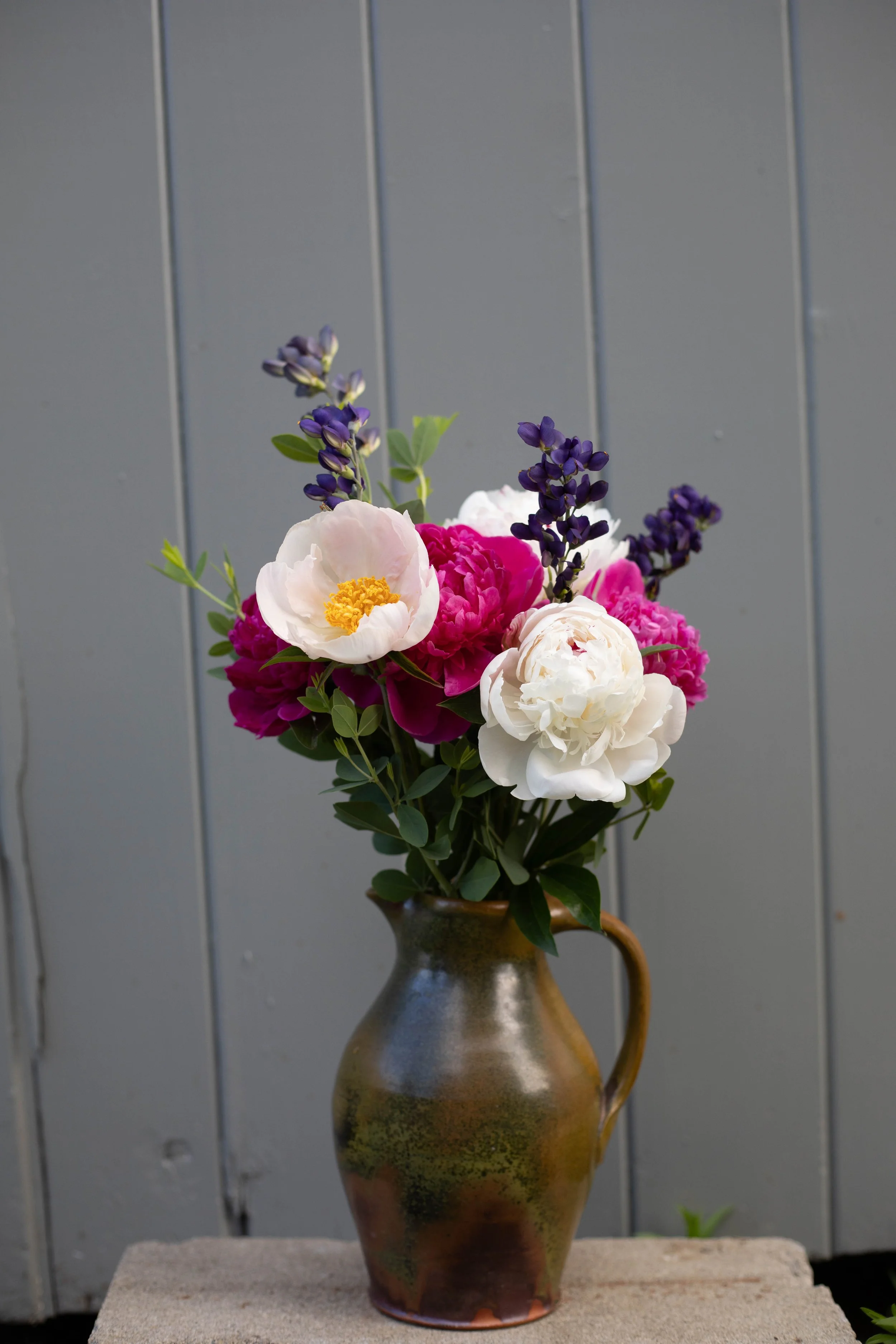 peonies and baptesia.jpg