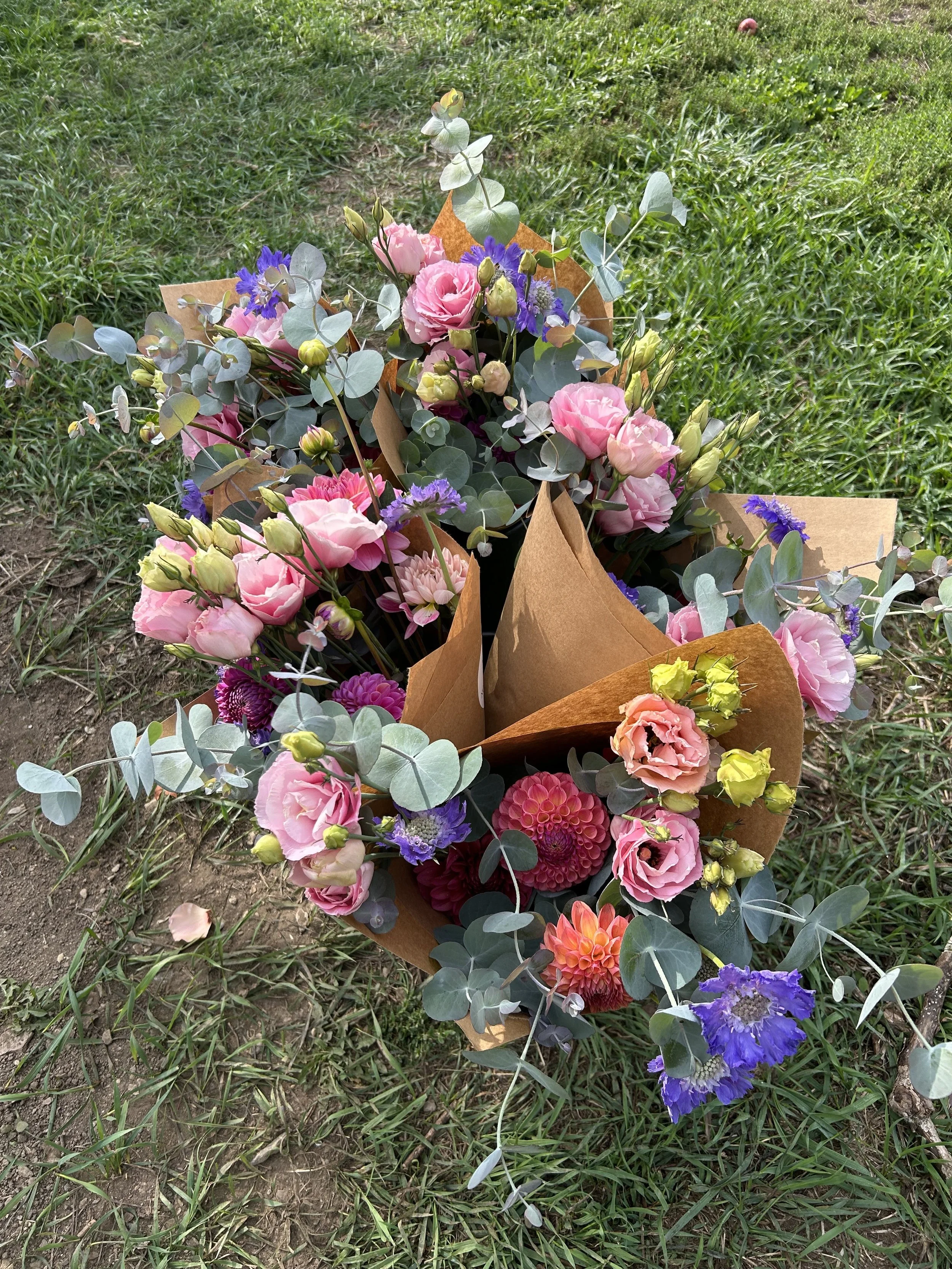 csa bouquests flower farm troy maine.jpeg
