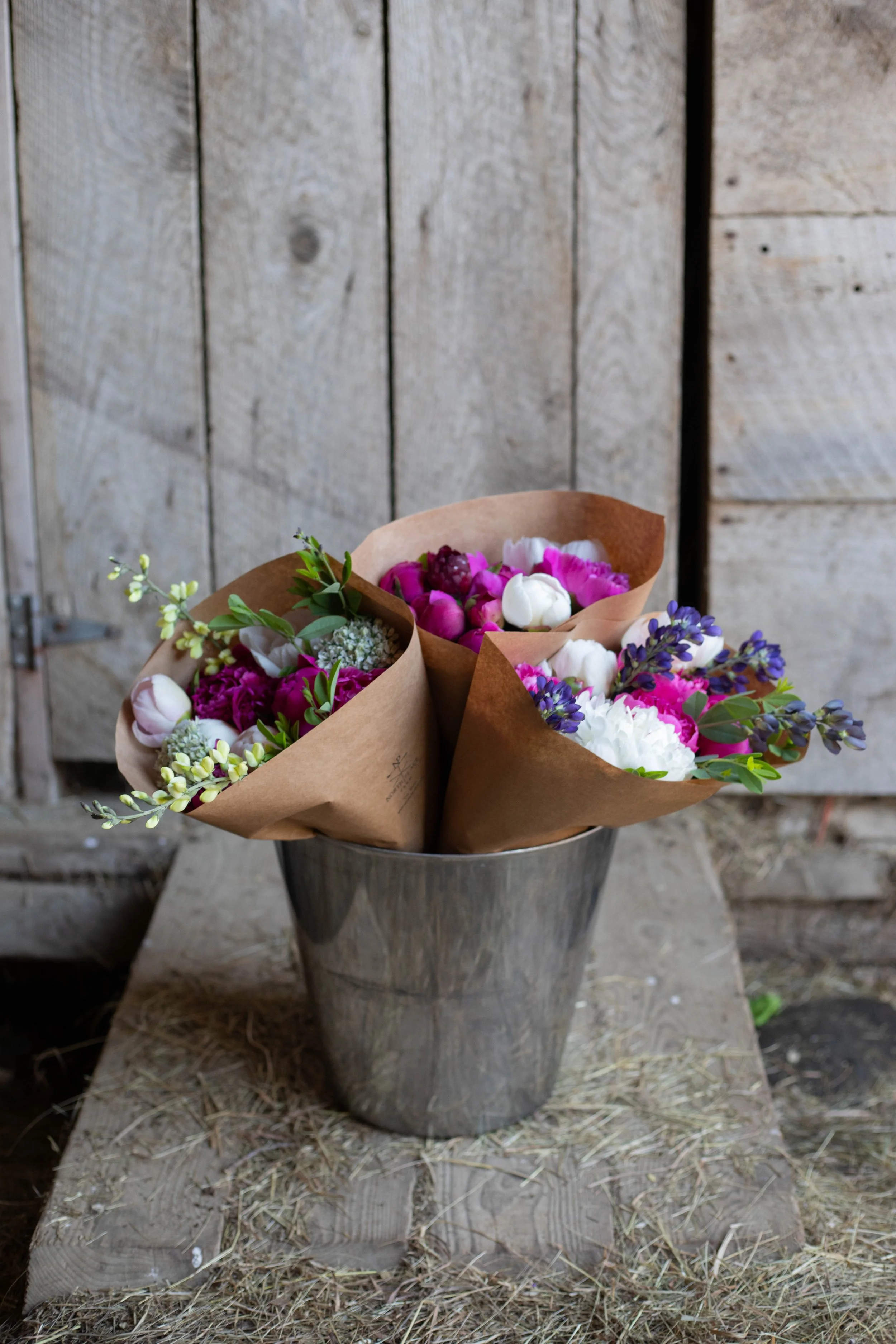peonies milk bucket.jpg