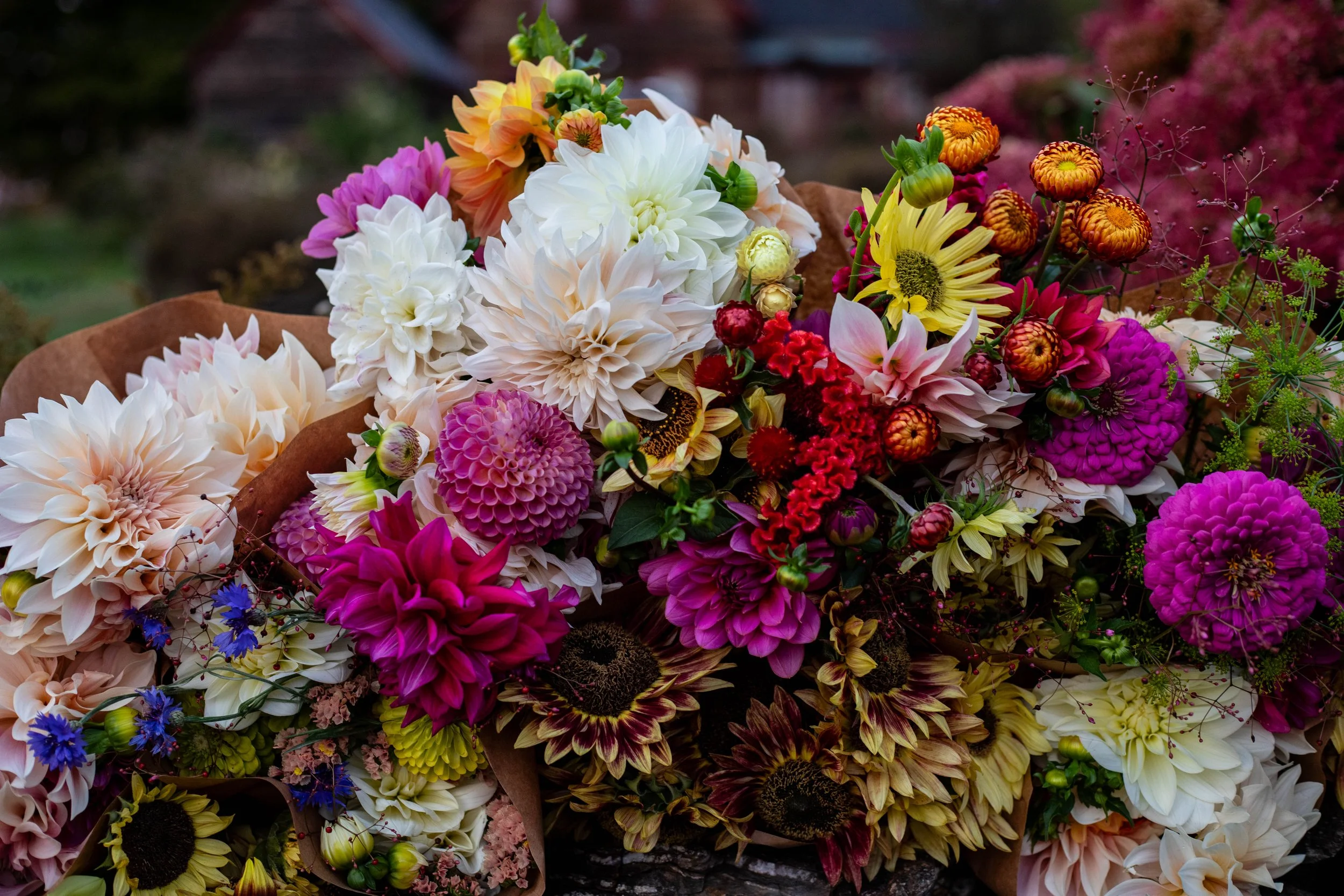 September flowers 1.jpg