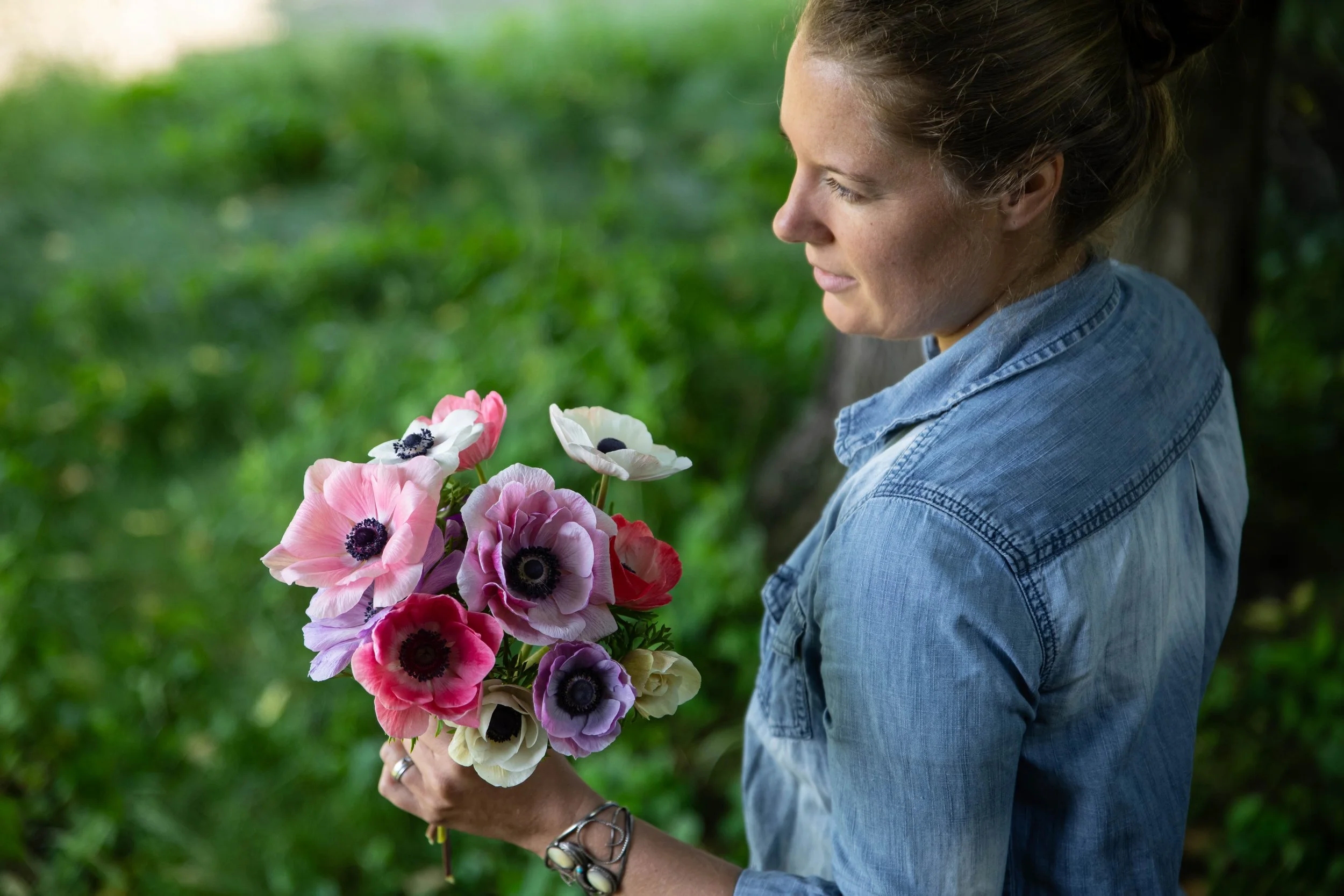anemone maine flower farm.jpg