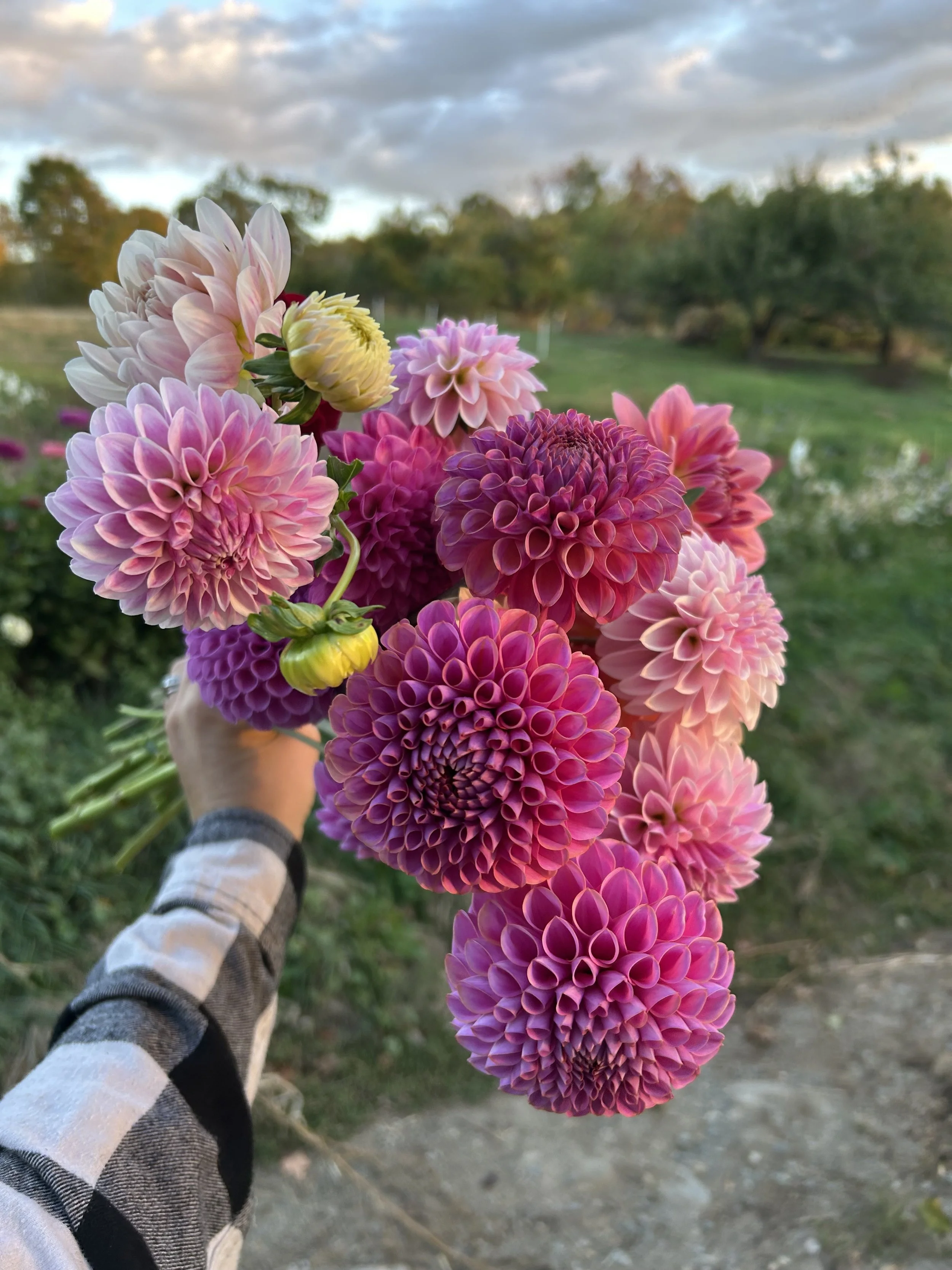 Fall
