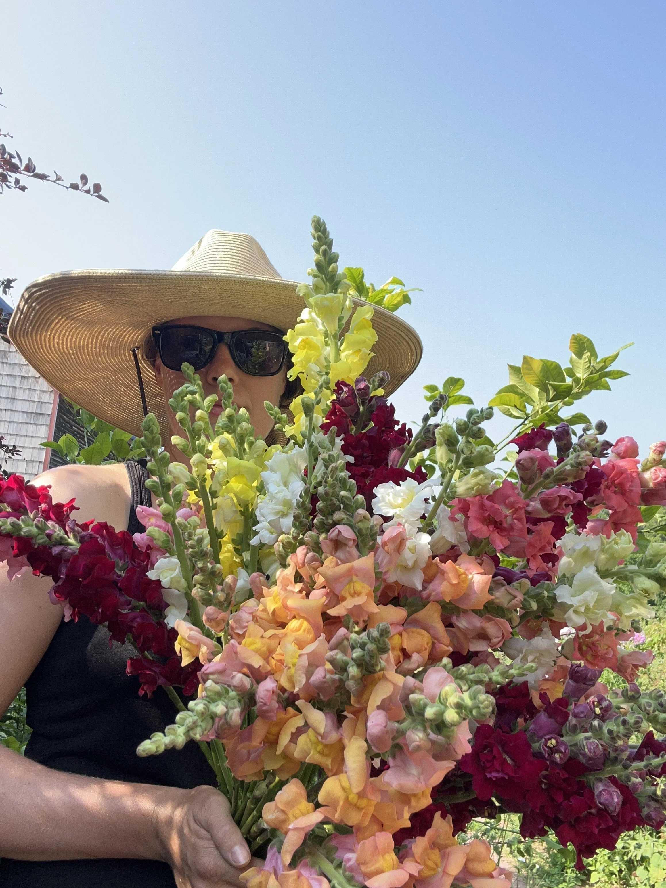 flower farm snapdragons.jpg