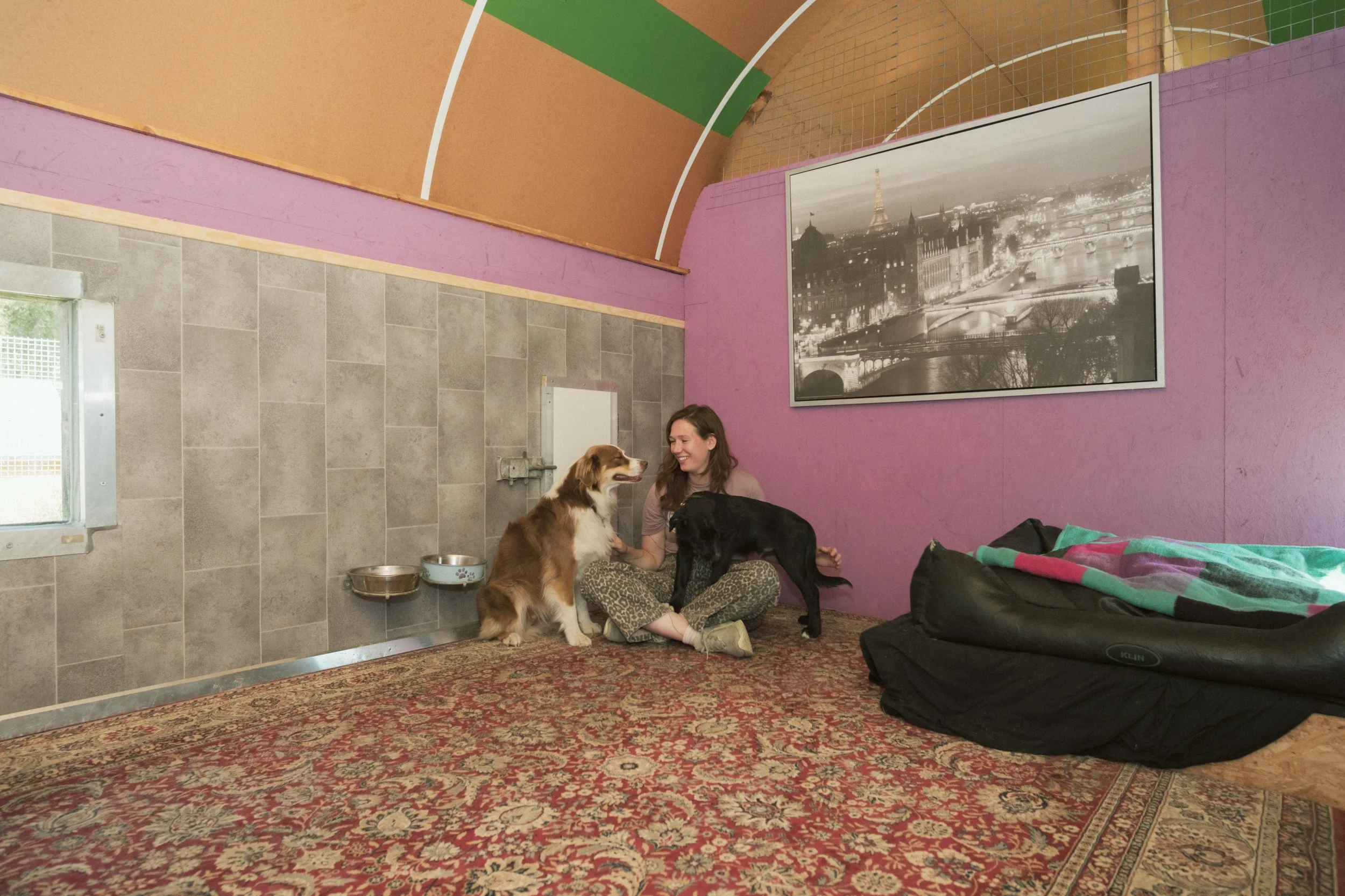 Hundezimmer "Dachs"