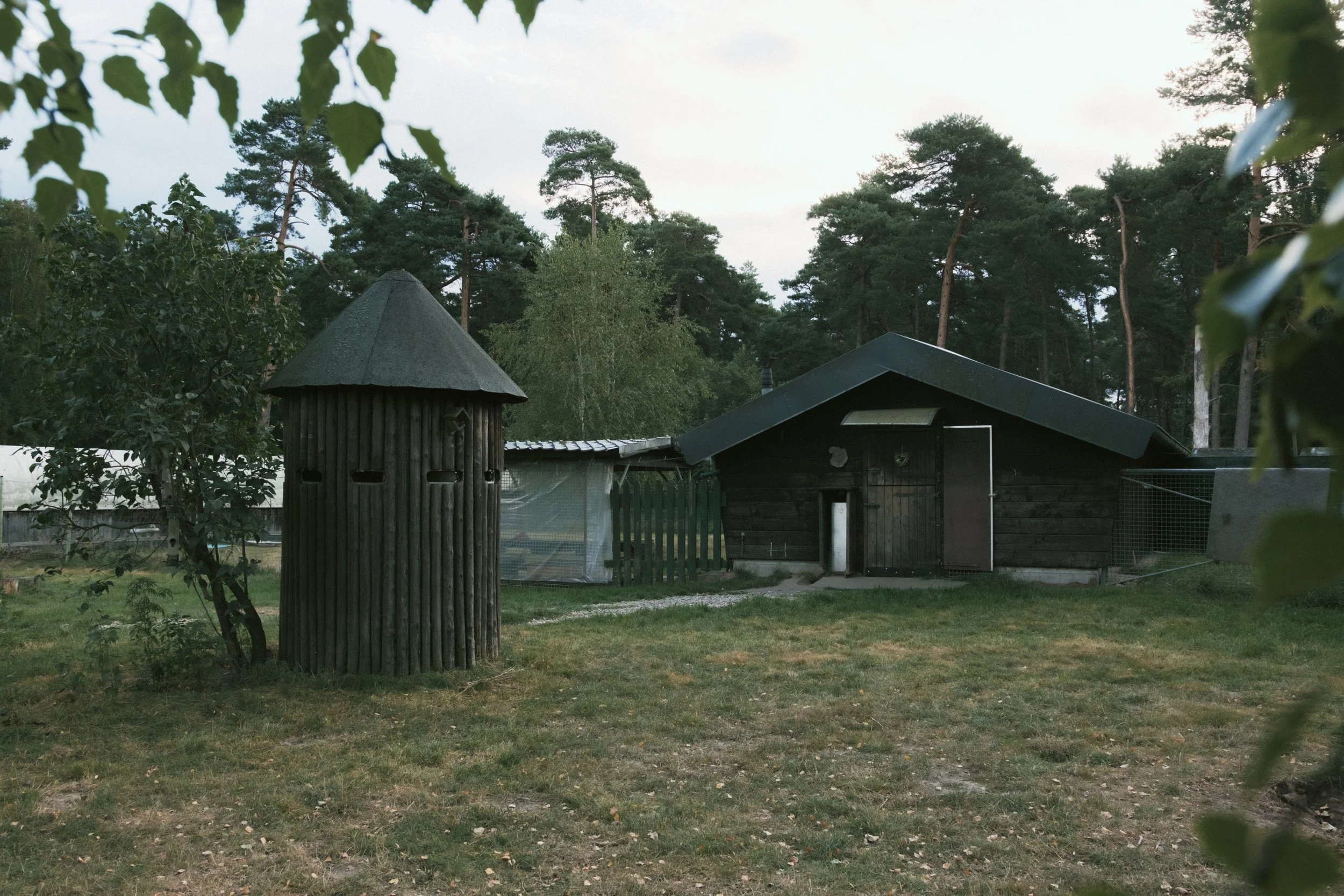 Betreuungsfläche und Hundehaus 1