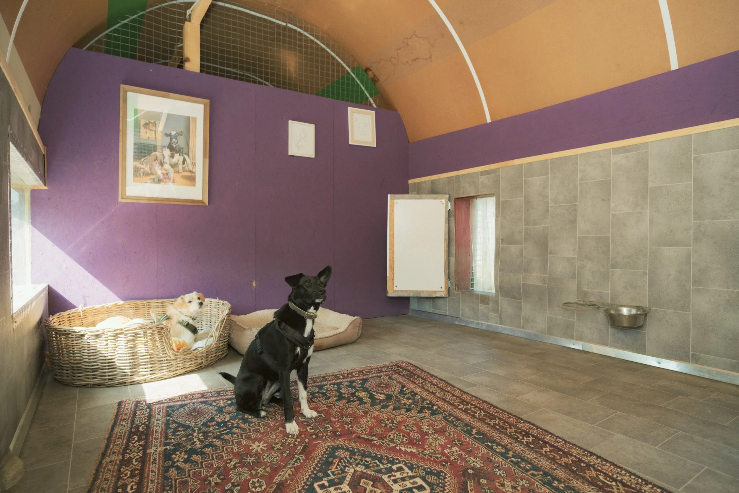 Hundezimmer "Eichhörnchen"