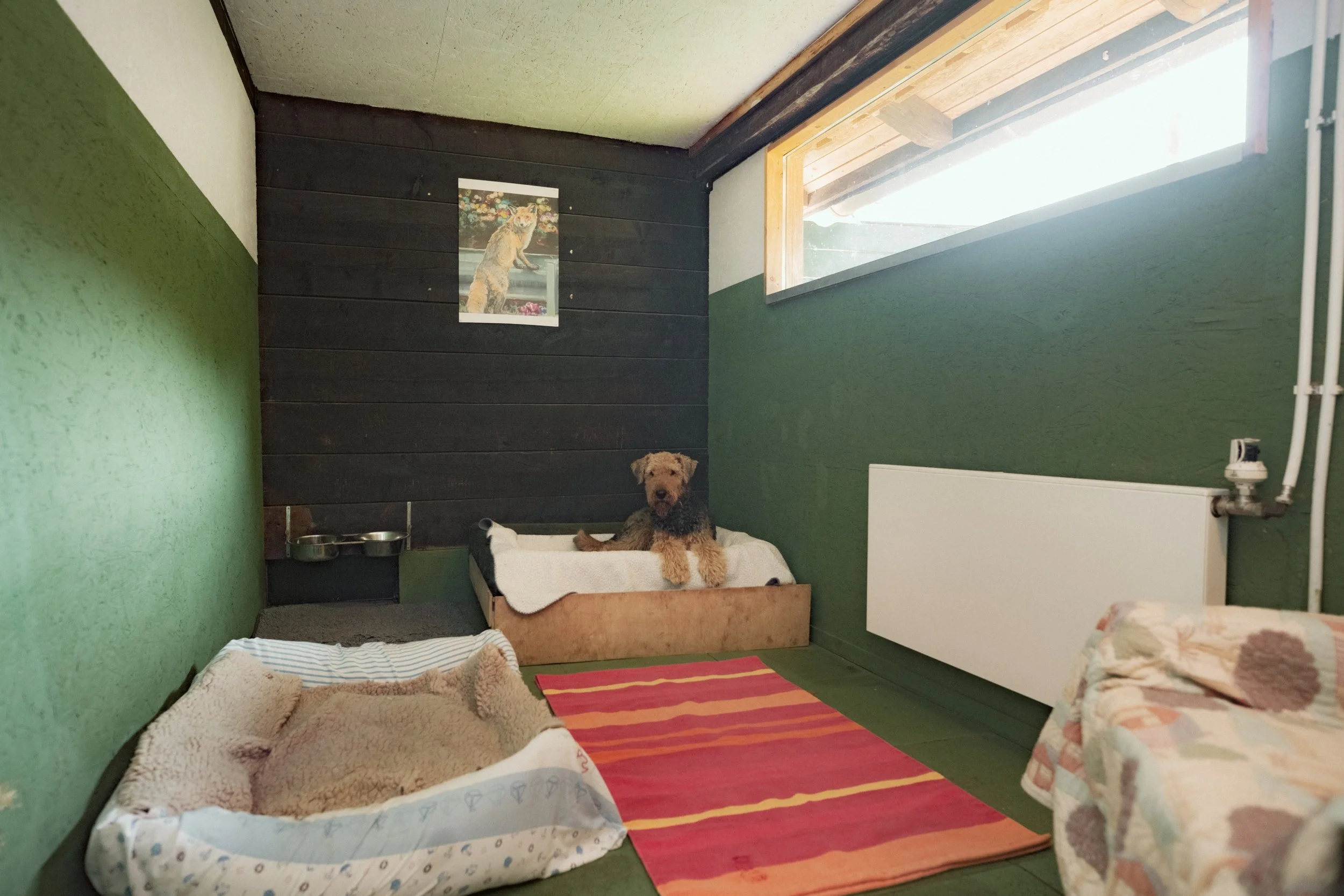 Hundezimmer "Fuchs"