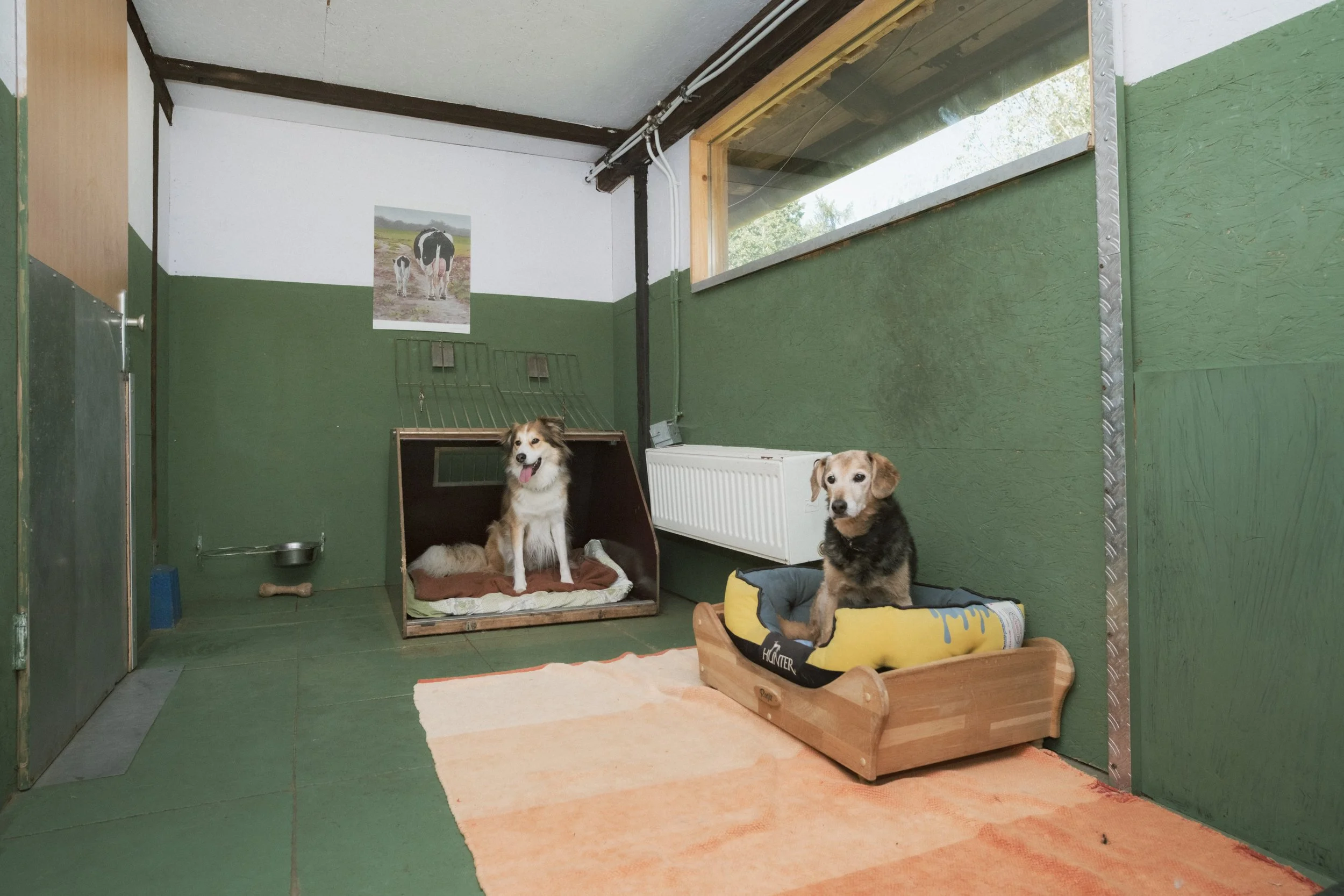 Hundezimmer "Hirsch"