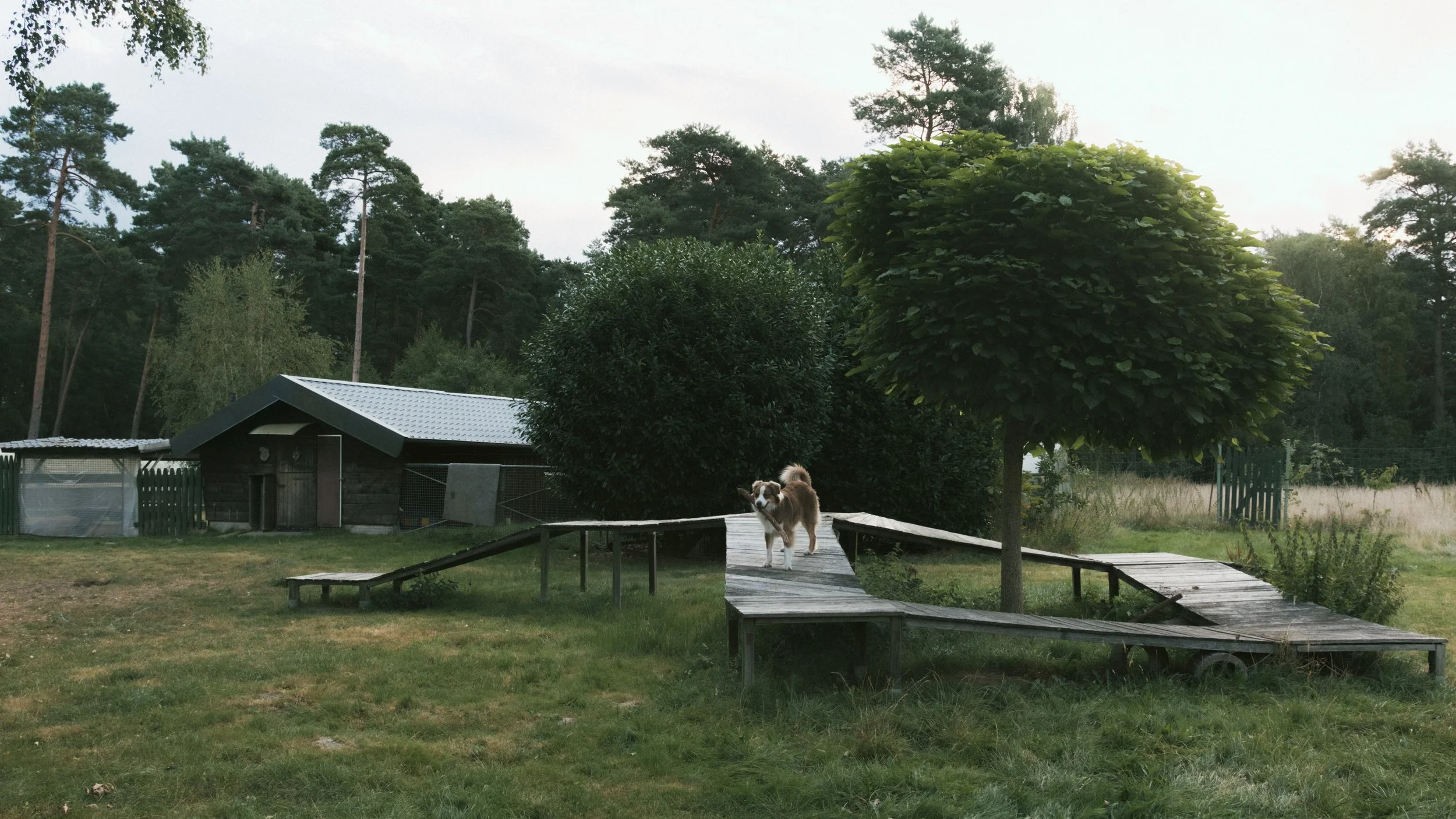 Hundespielplatz
