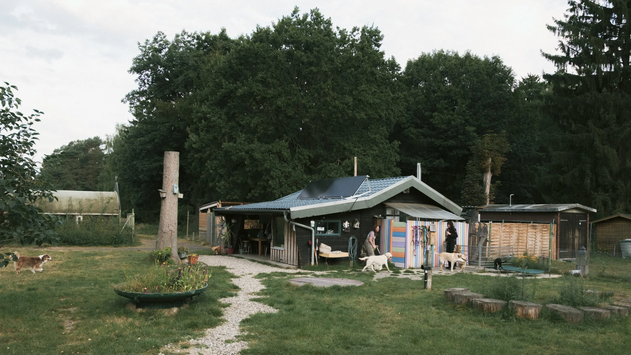 Betreuungsfläche