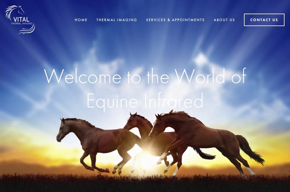 equine thermal.jpg