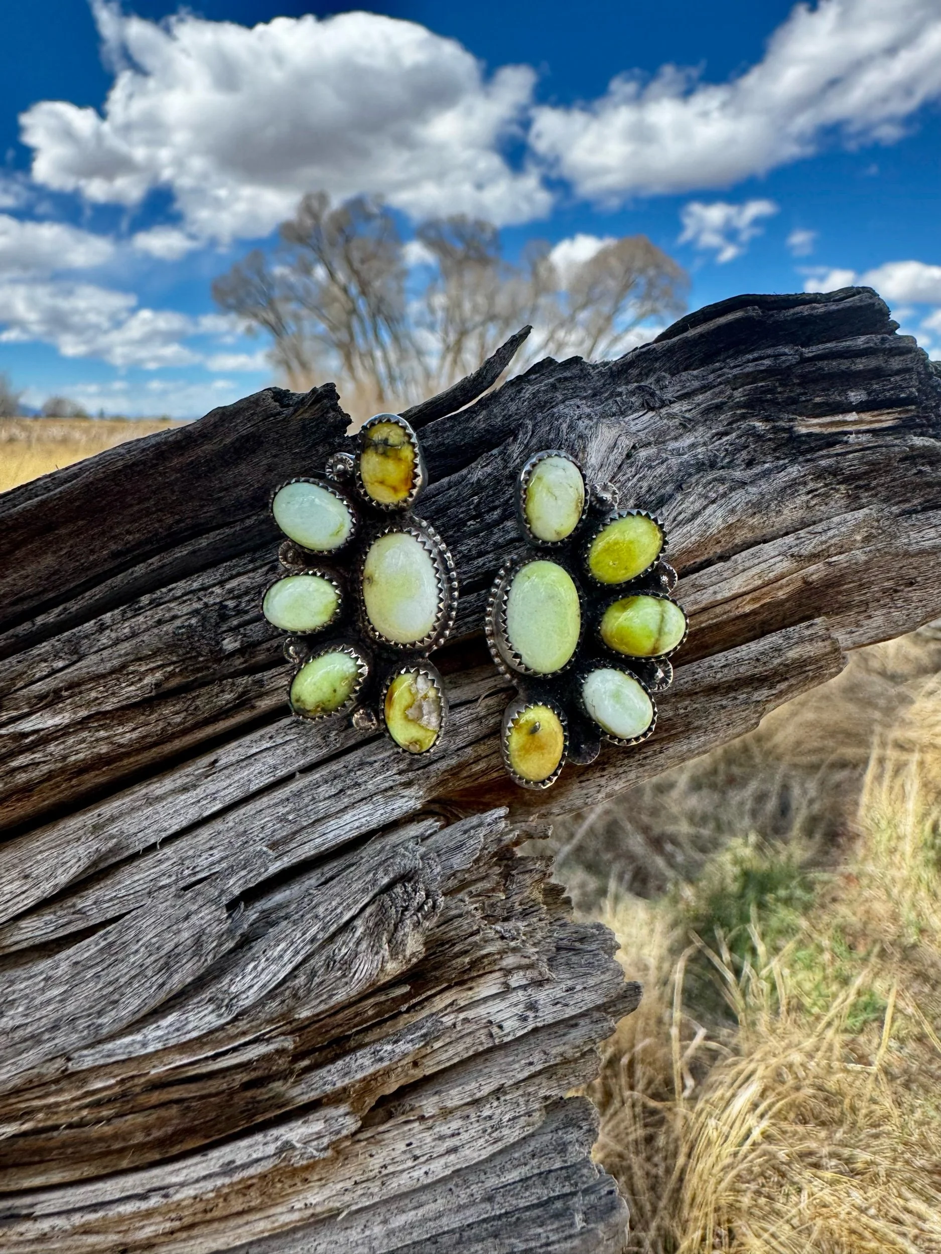 Palomino Half Cluster Earrings