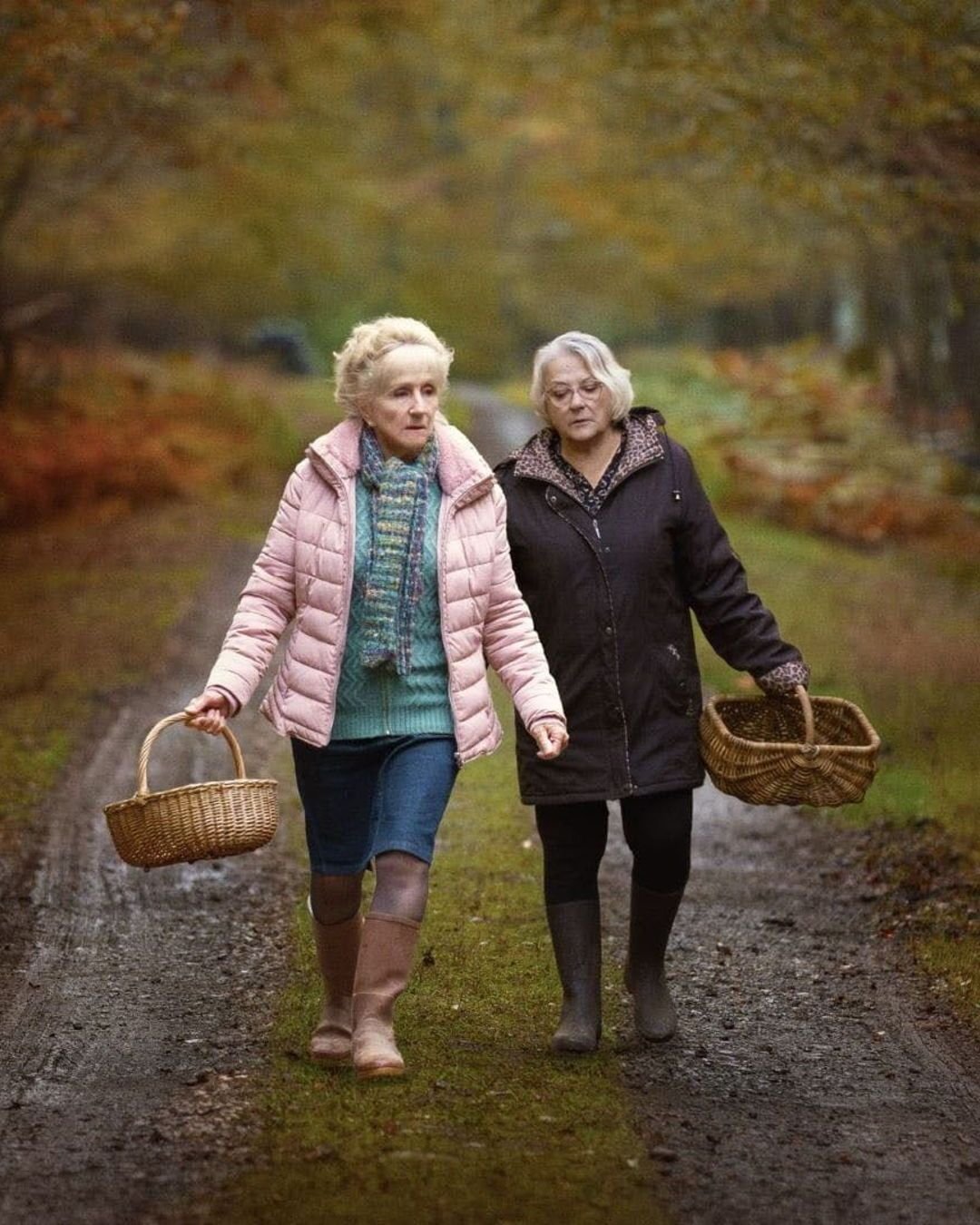 Screening at the Civic on 30 November | When Autumn Falls 
Wonderful performances in Ozon&rsquo;s dark, bittersweet, engrossing twisty tale set in a picturesque Burgundy village about youth, ageing and breaking the rules as unexpected events disrupt 