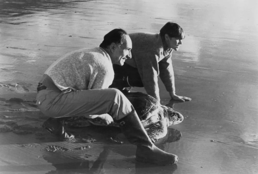 Films screening at Nowhere Kitchen &amp; Brewery 

The Return 
Turtle Diary 
The Passion of Ayn Rand 
The Krumlin Festival August 1970
Our Land 
The Cost of Growth
The Stranger

Booking Information including venues are available via Eventbrite https: