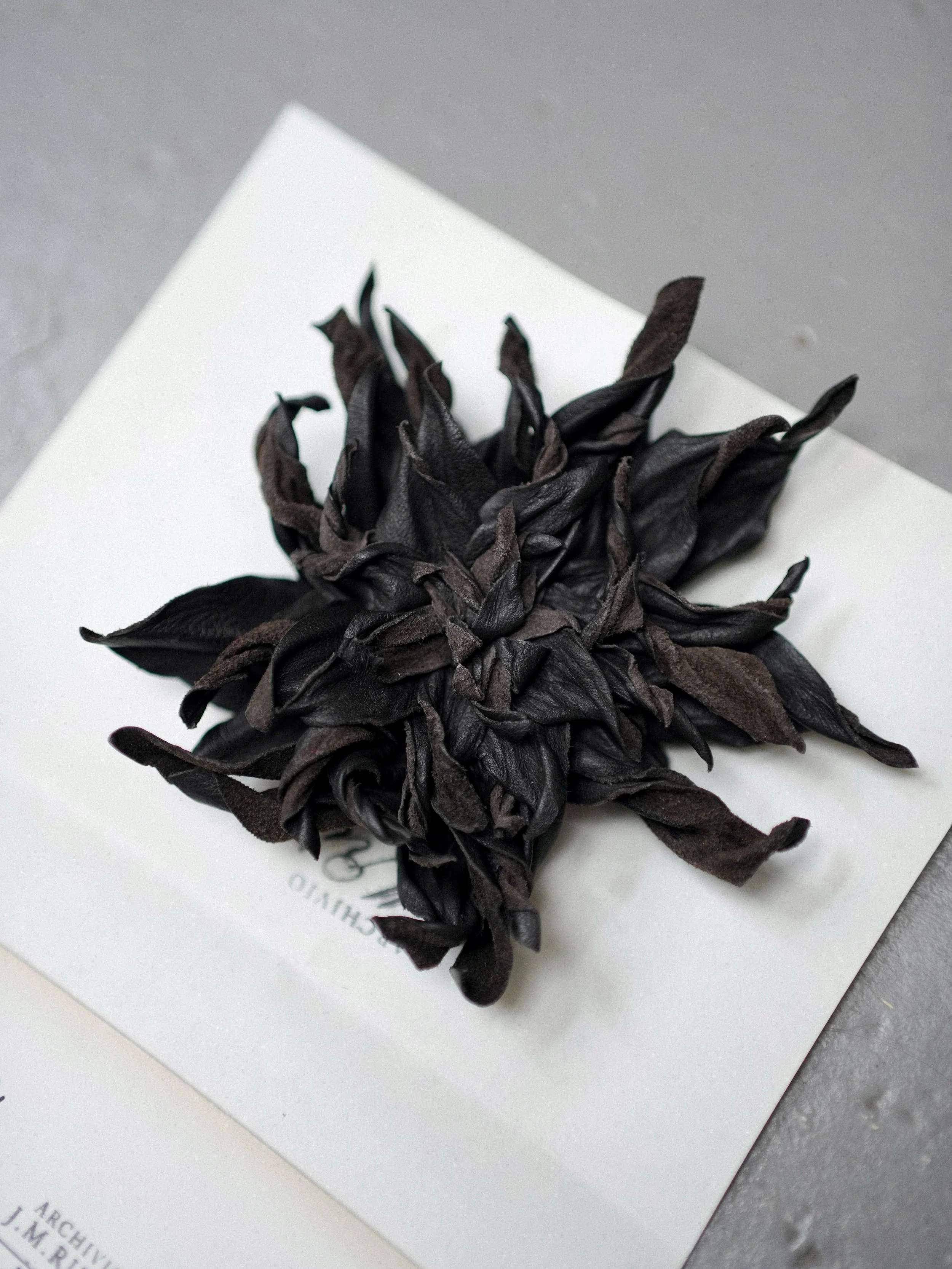 Archivio J.M. Ribot Leather Brooch