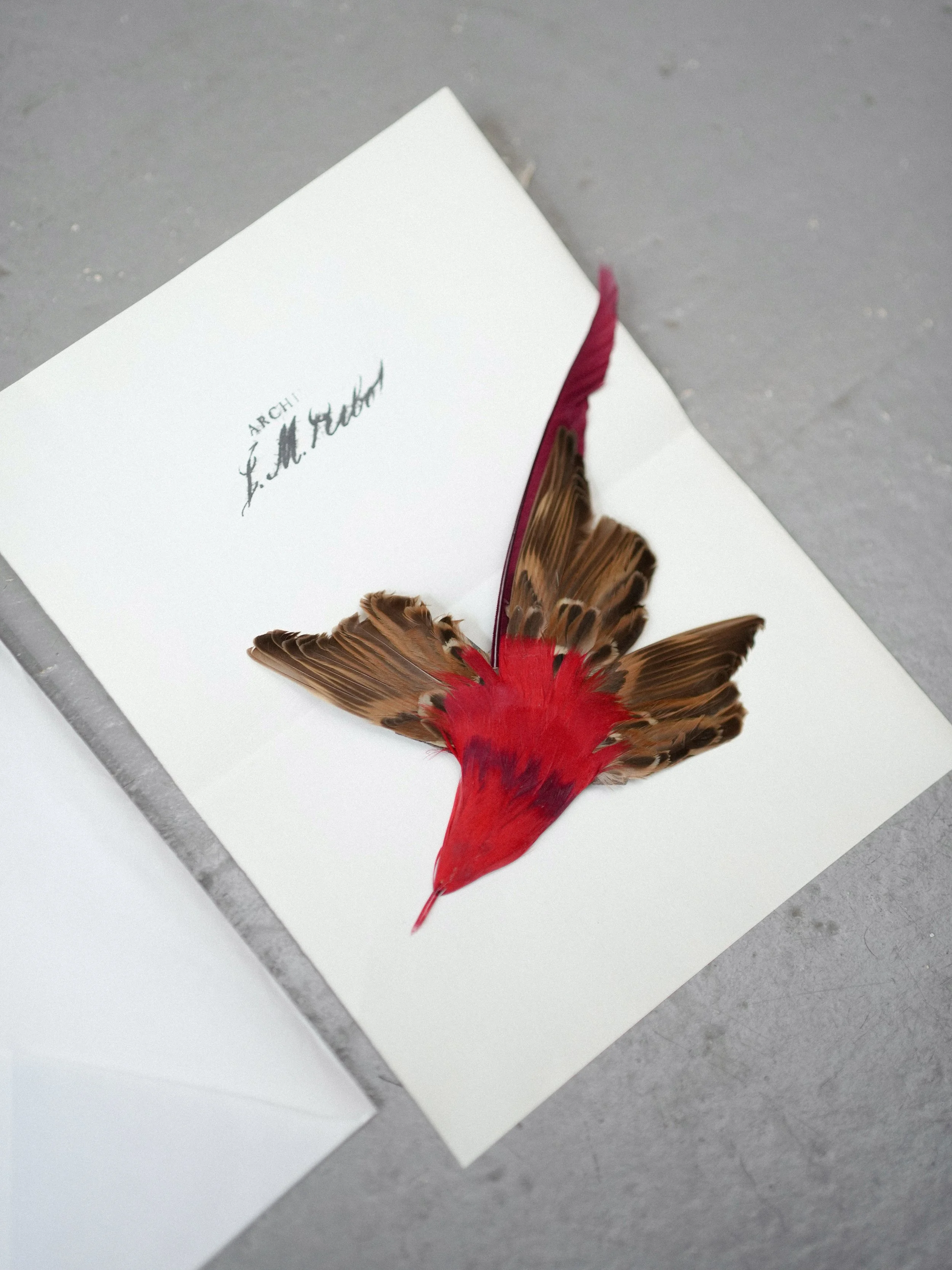 Archivio J.M. Ribot Bird Feather Pin