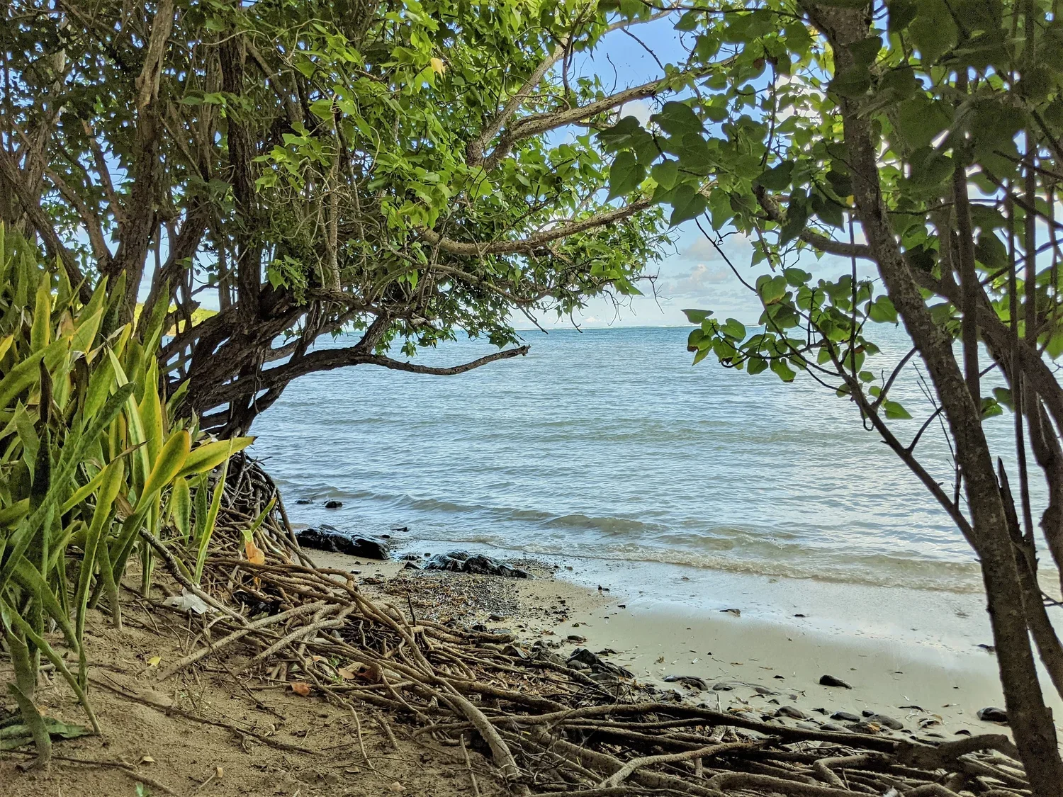 Humacao+Beach+2.webp