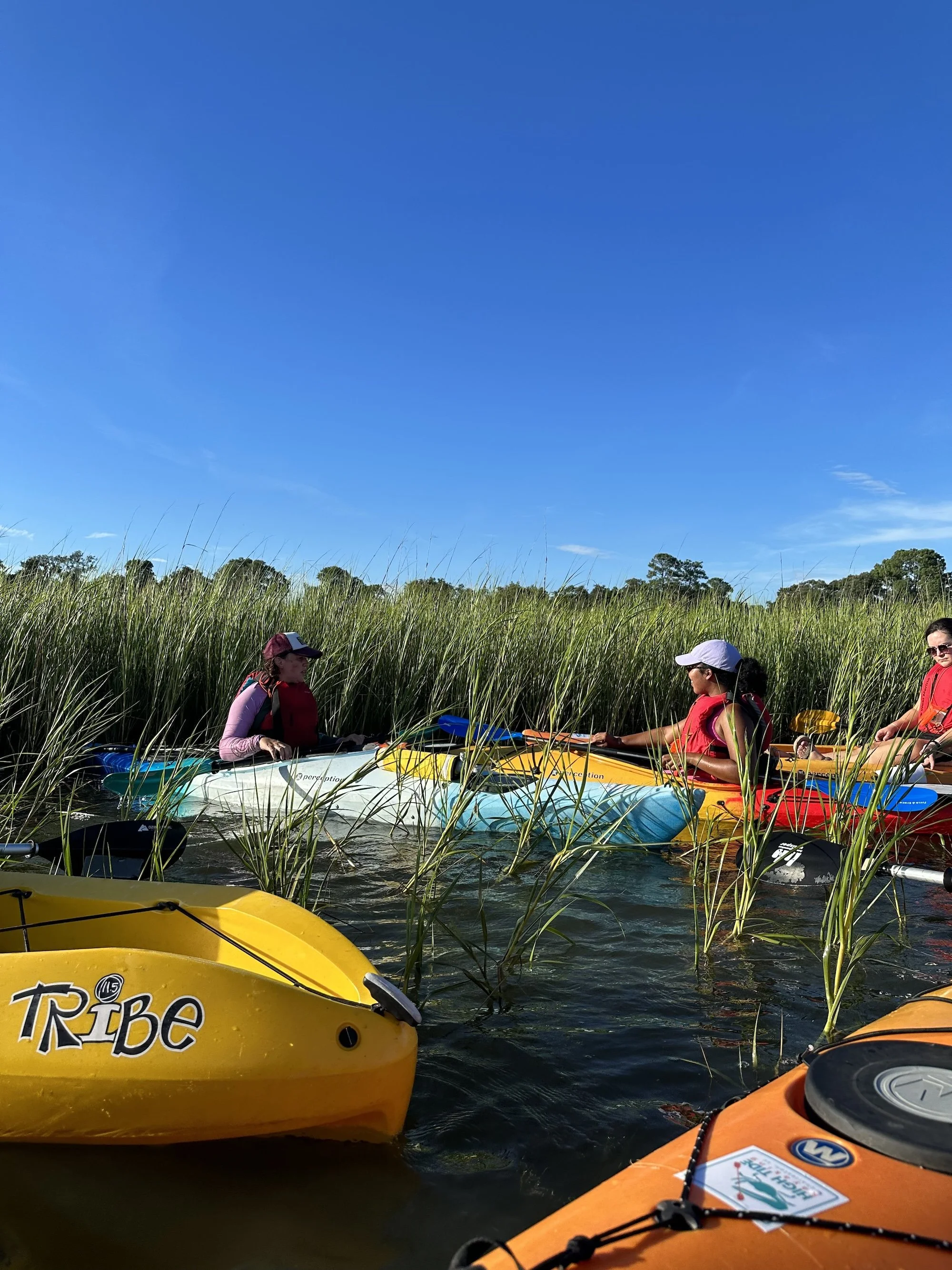 11Charleston_Kayaking_SUP_HomeSchooling_HighTide.jpeg