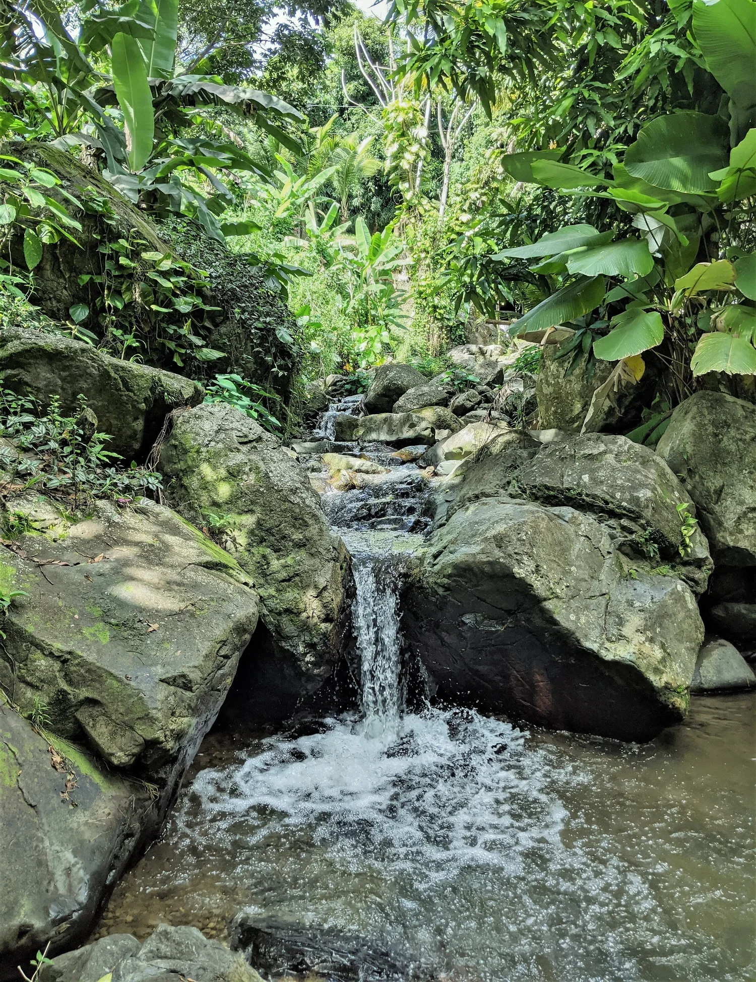 Waterfall+2.webp