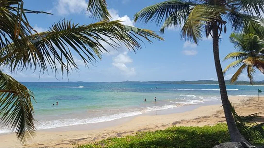 beach+front.webp