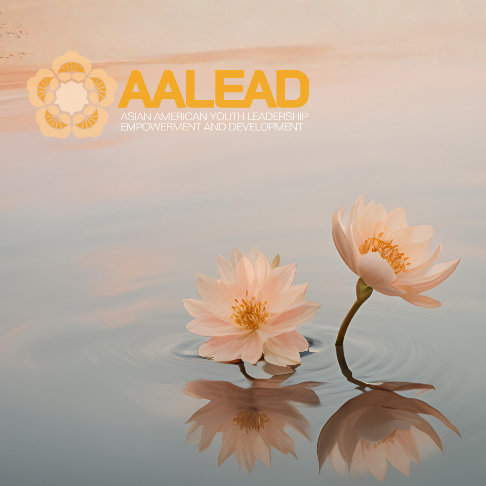 Reflections on AALEAD