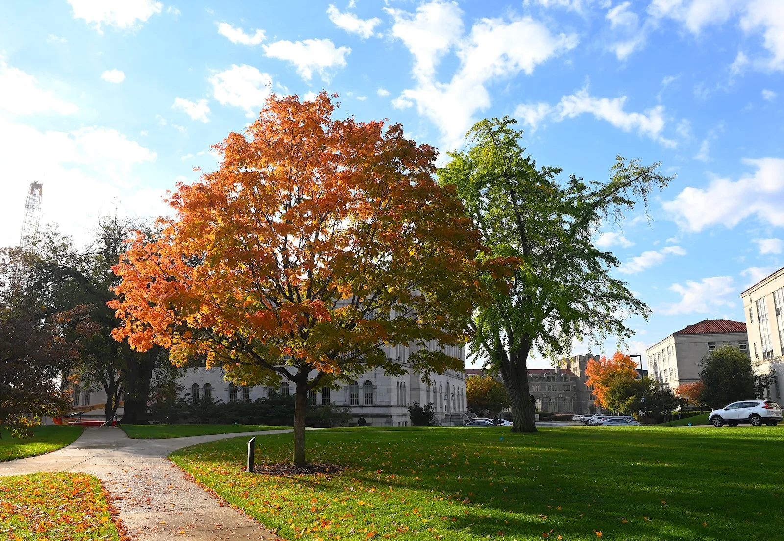101422 Campus Fall Trees-002 (1).JPG