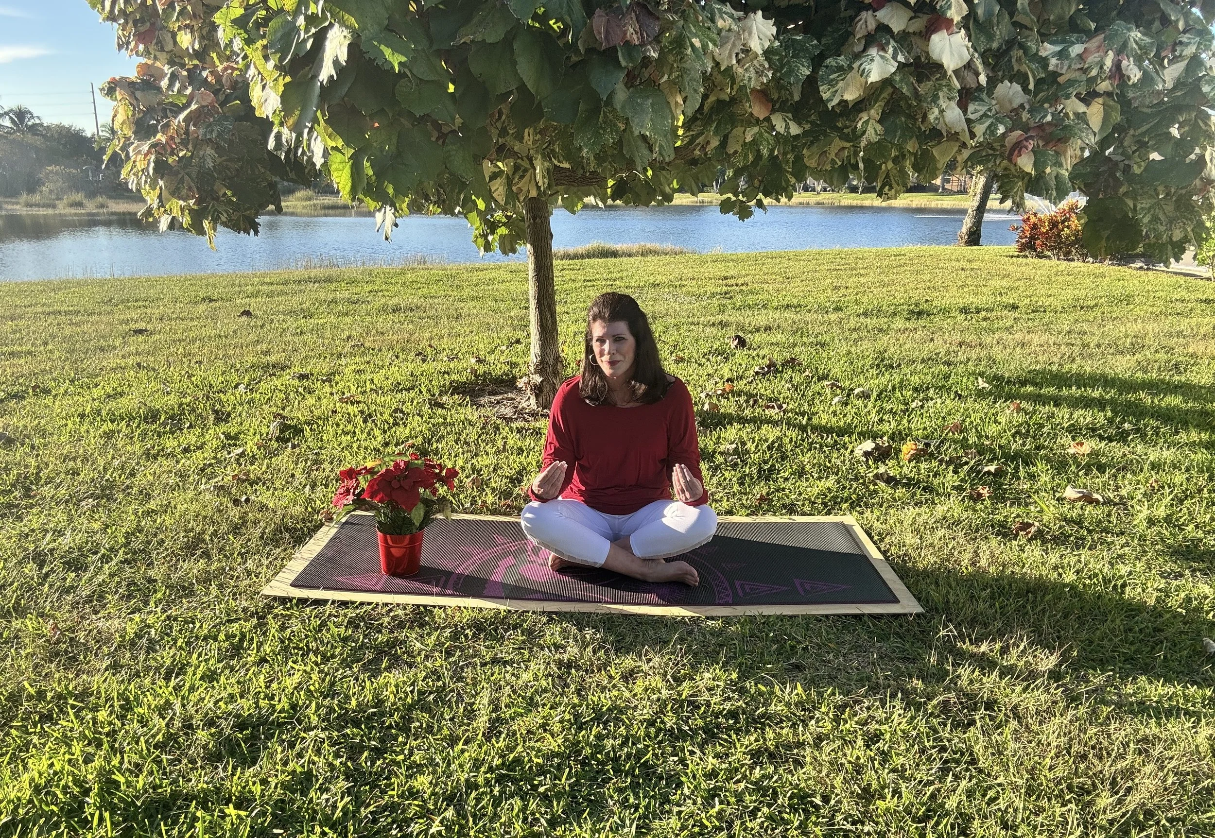 1 Minute Meditation Centered Around the Holidays and Reflection