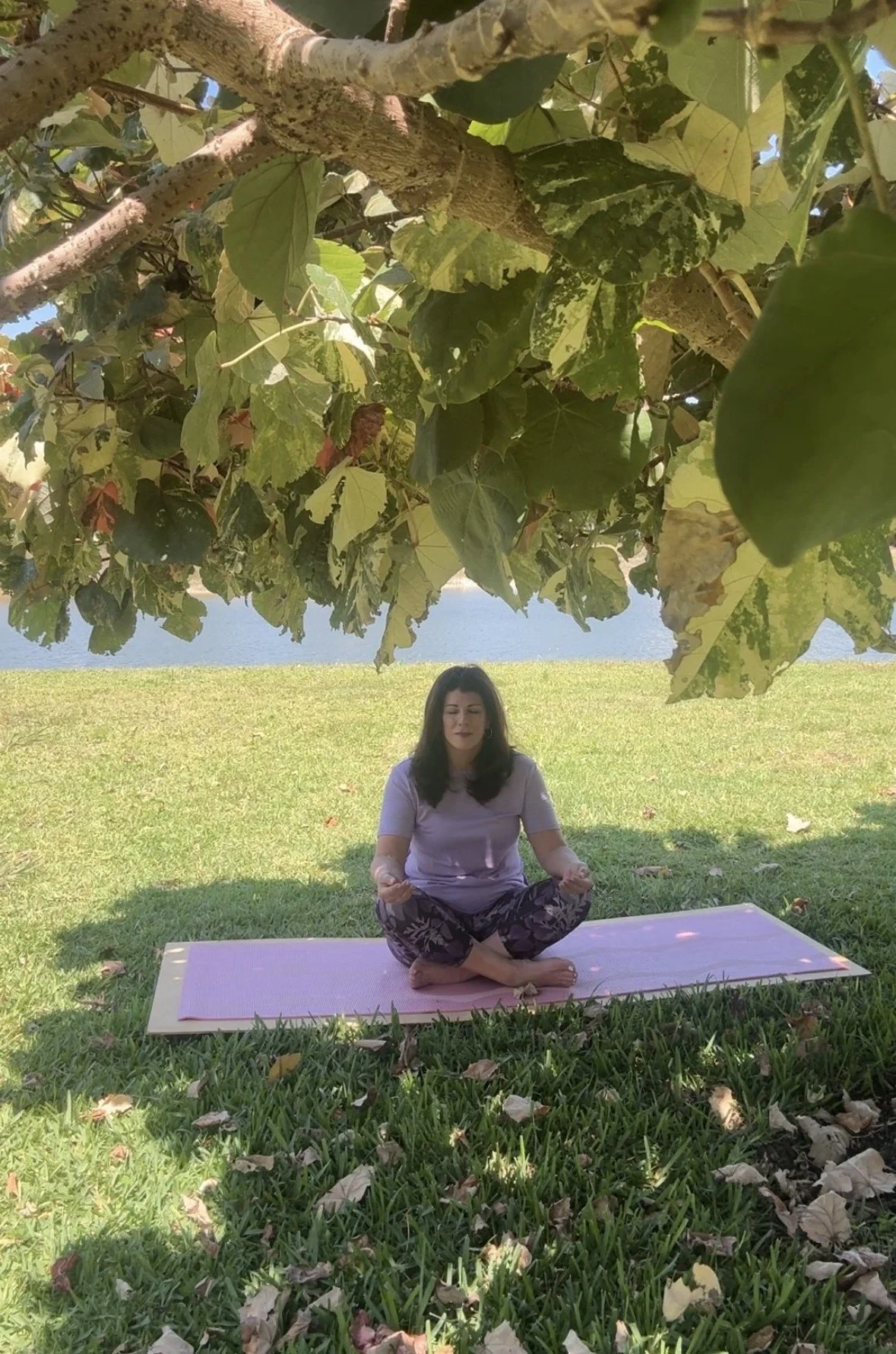 1 Minute Meditation on Building Emotional Resilience 