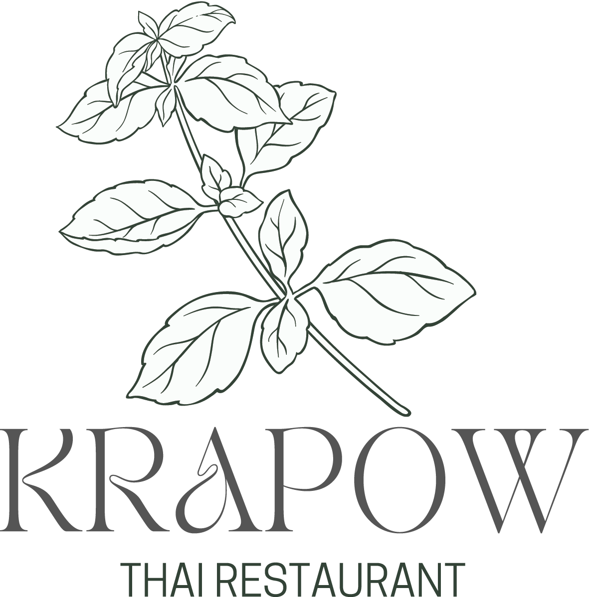 Krapow Thai