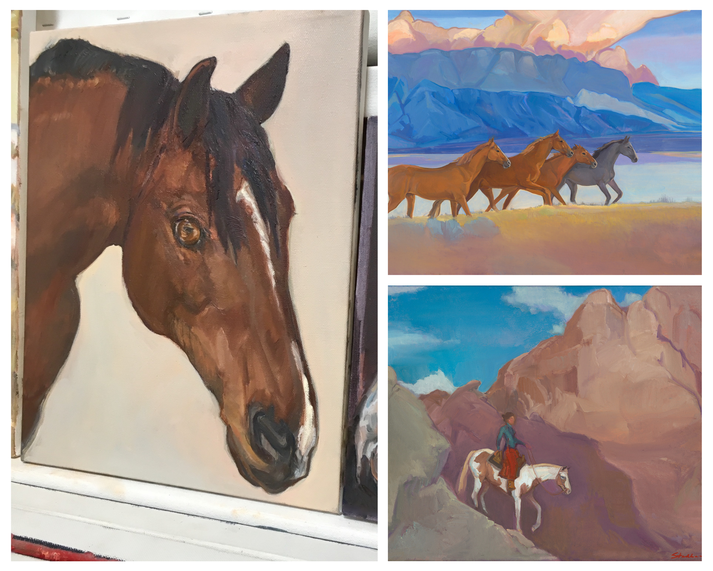 Kathryn Stedham Equine Focused Current Examples