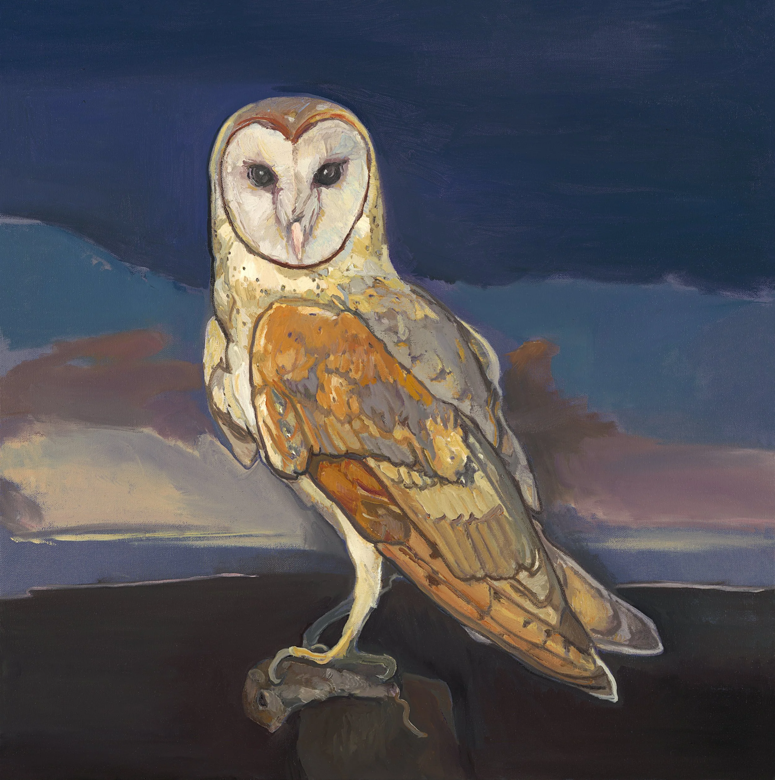 Night Bird | 20 x 20 in. | oil on canvas