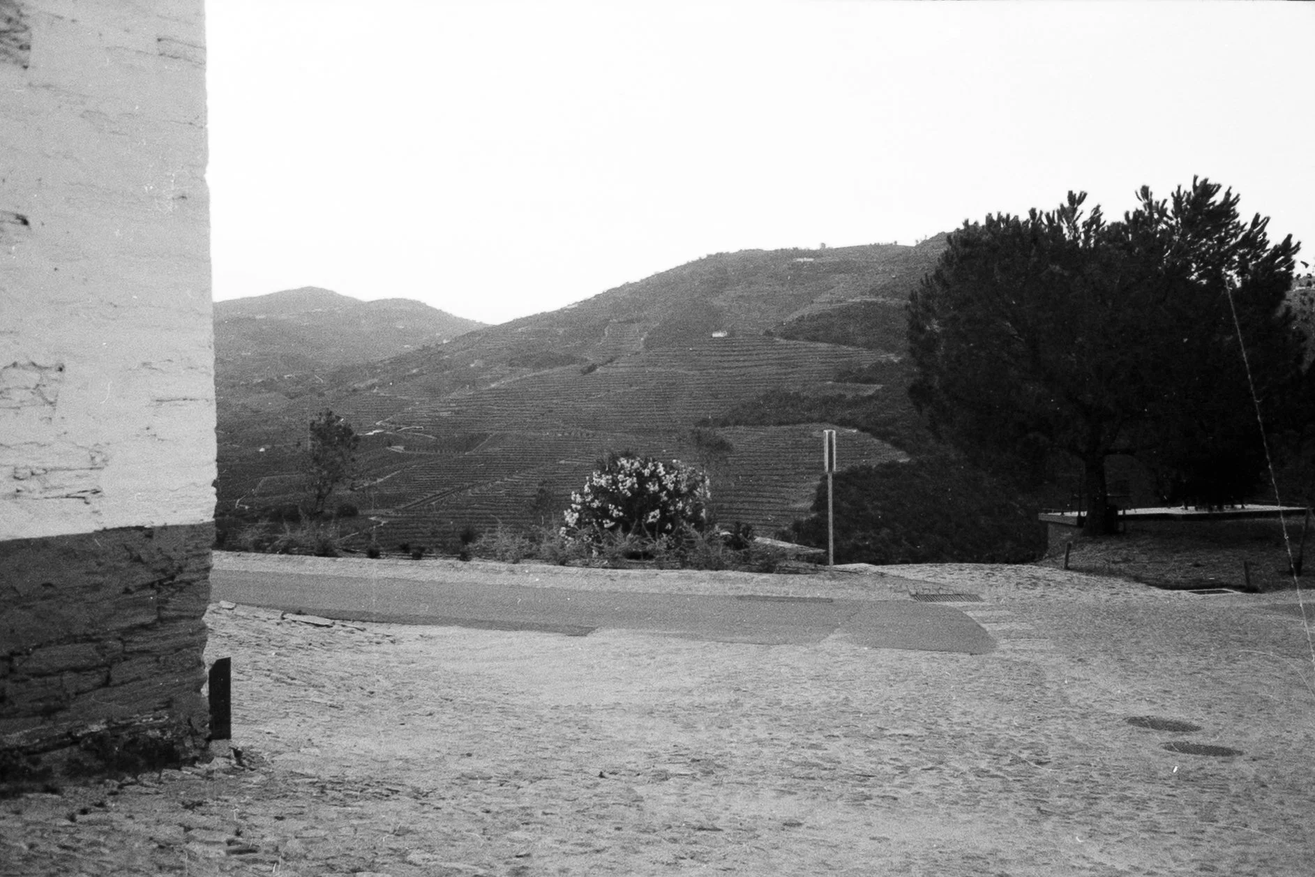 DSC08316-2.jpg
