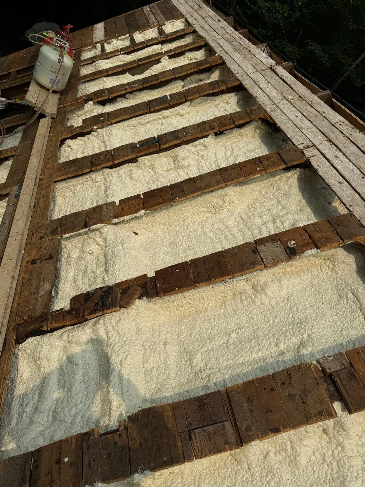 WhatsApp Image 2024-11-24 at 15.47.12.jpeg