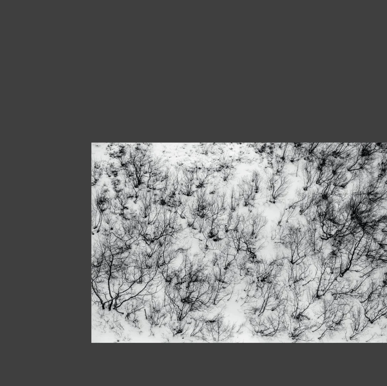 Screenshot 2025-09-04 at 10.09.42.png