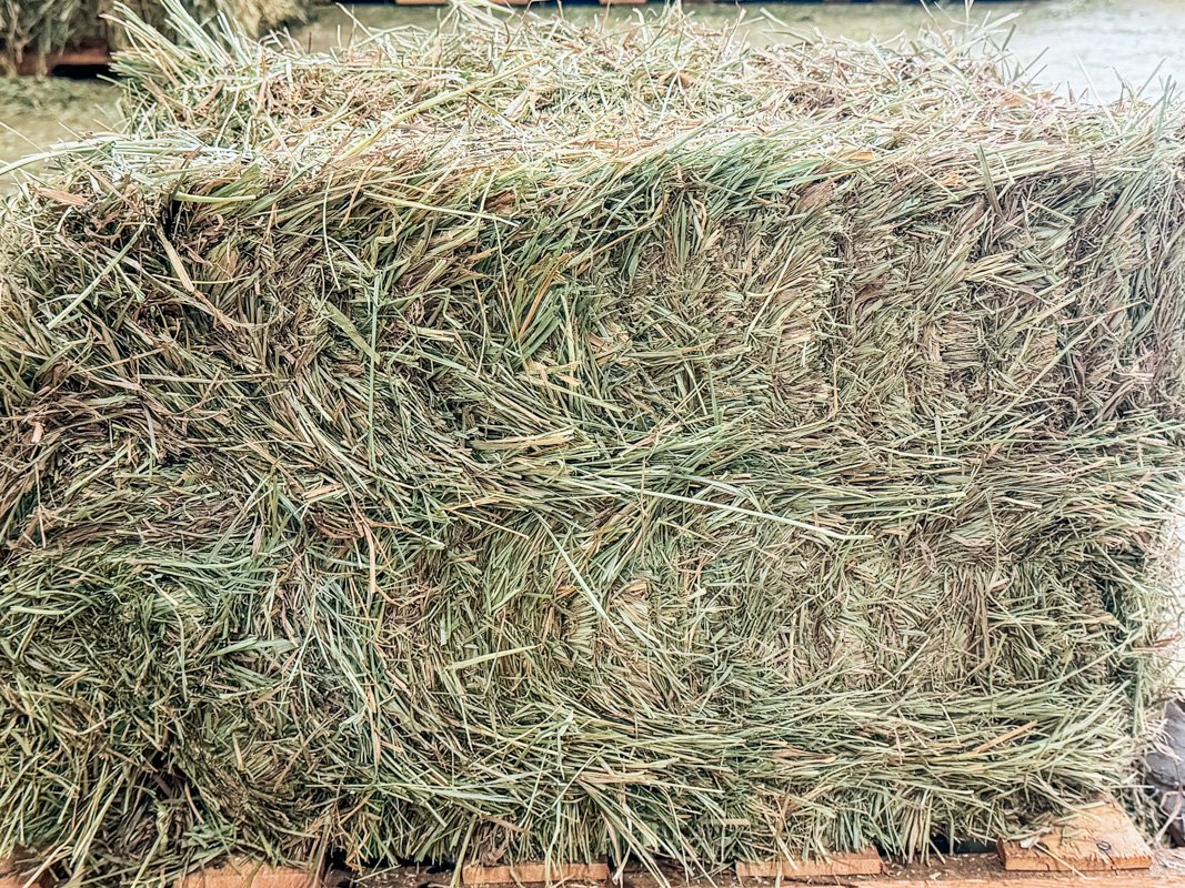 Burris Farms Hay and Straw--3.jpg