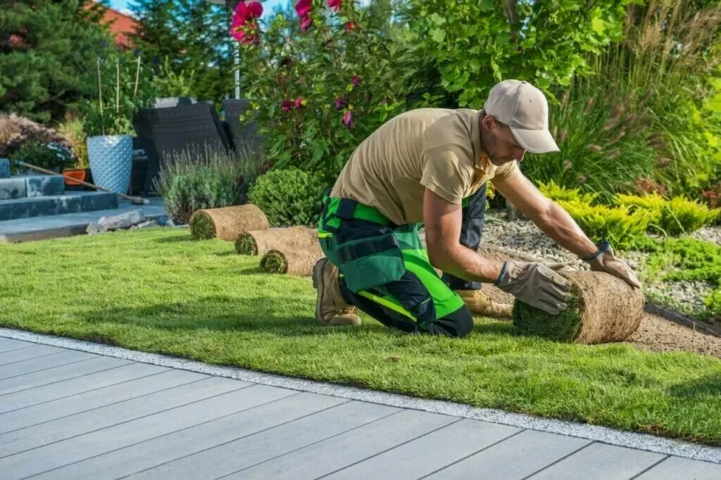 How to Plan a Functional Backyard