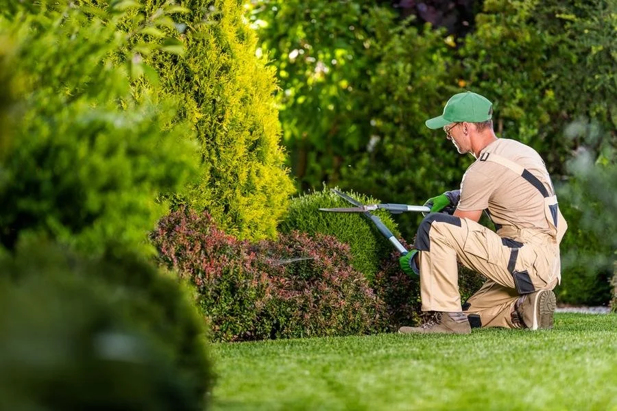 Landscaping Services